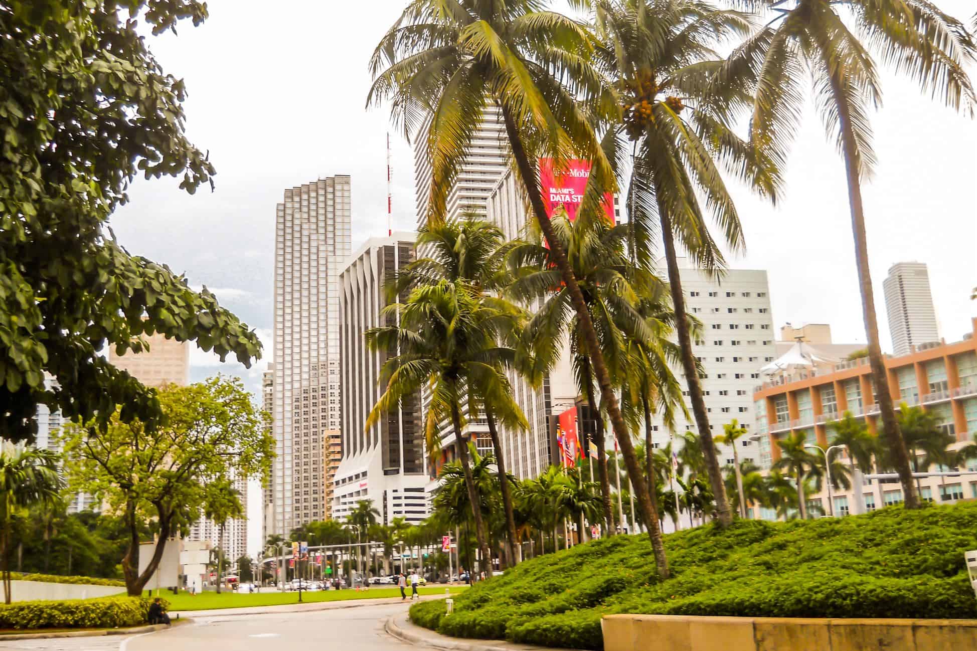 3 days miami itinerary | miami in 3 days