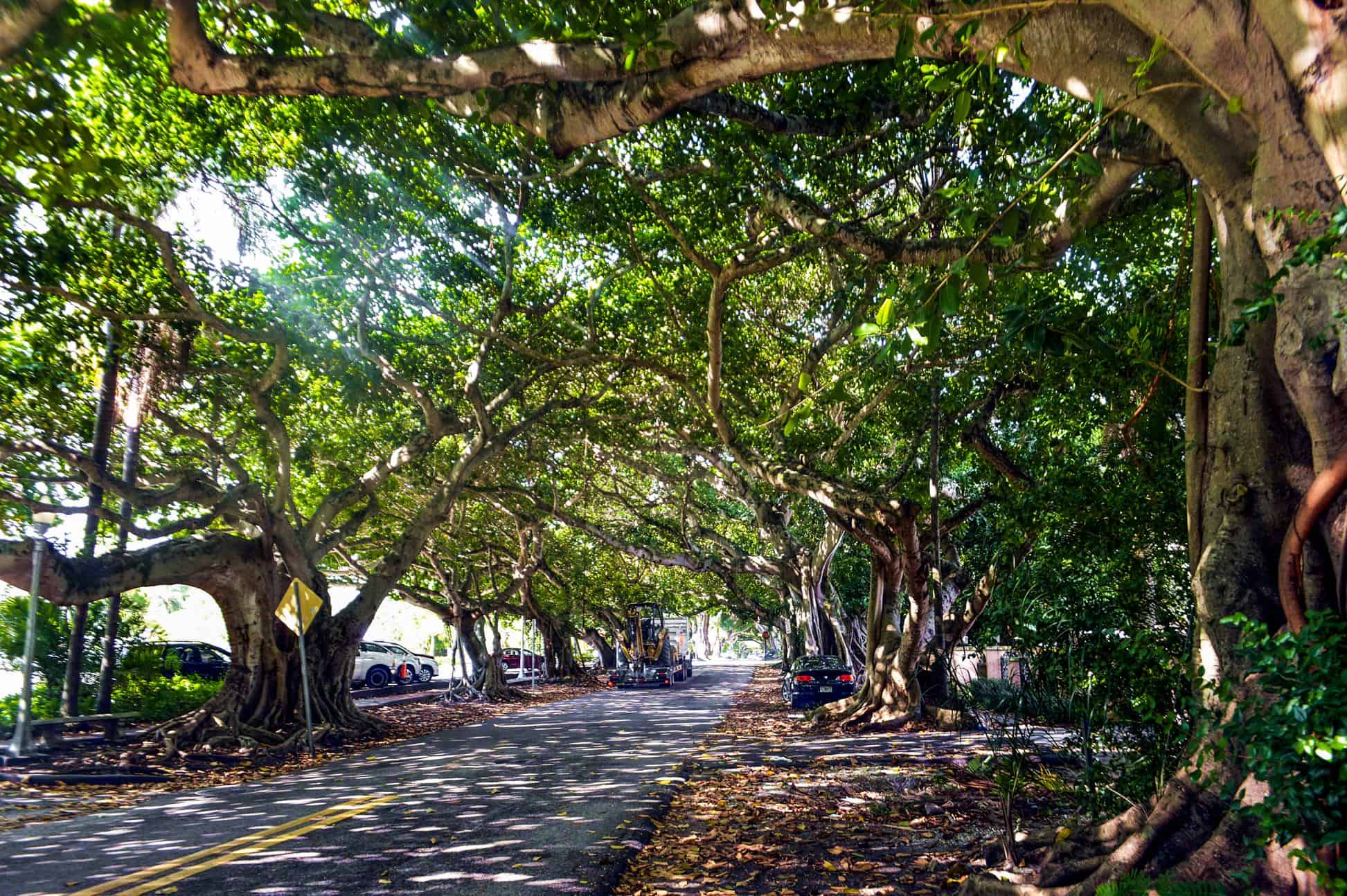 3 days miami itinerary | miami in 3 days