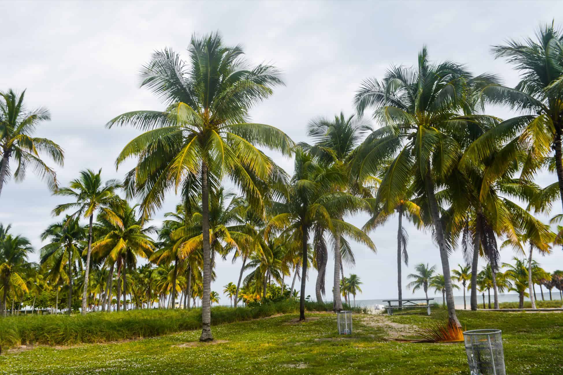 3 days miami itinerary | miami in 3 days