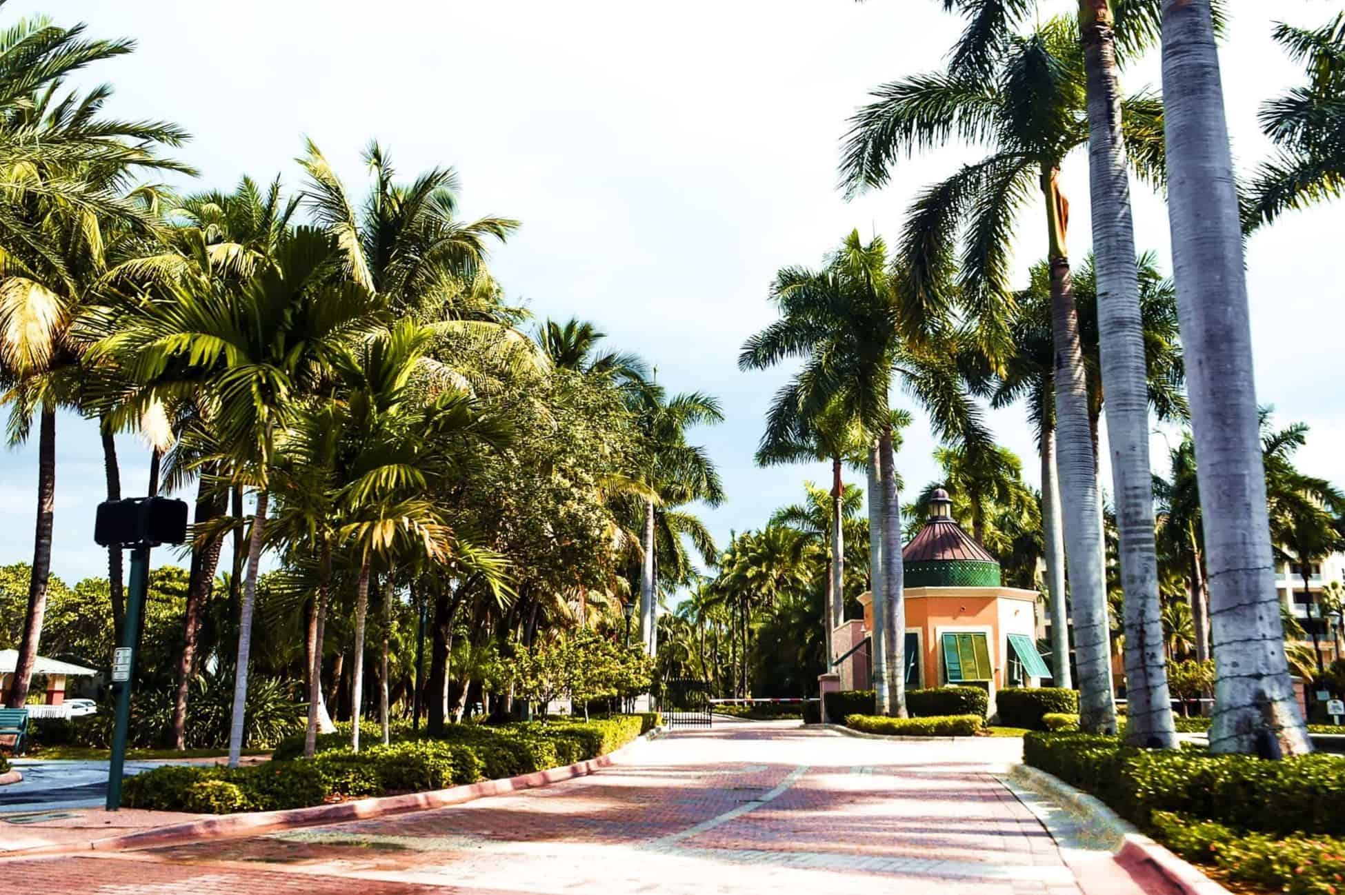 3 days miami itinerary | miami in 3 days