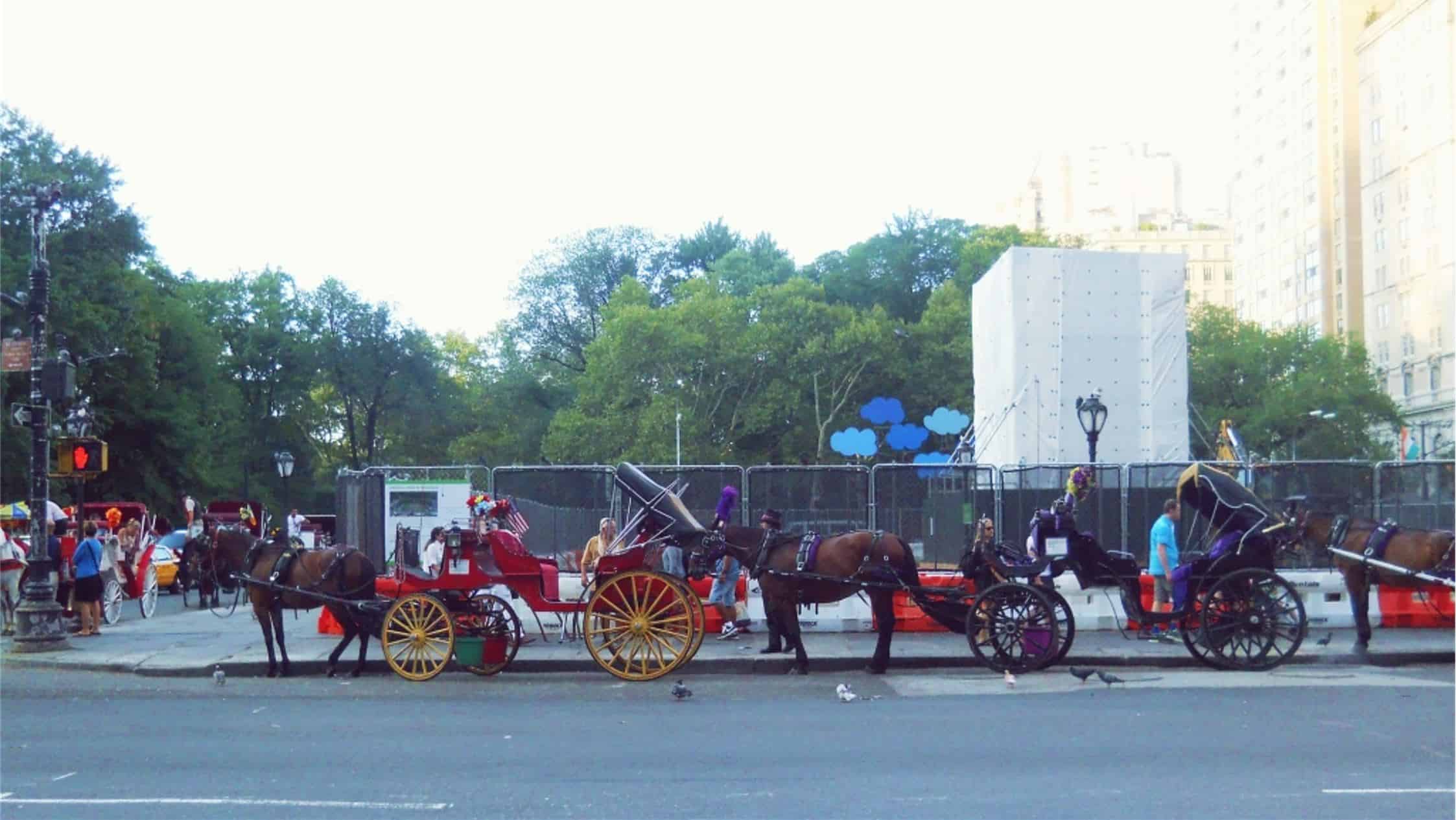 one day in New York City | what to visit in NYC