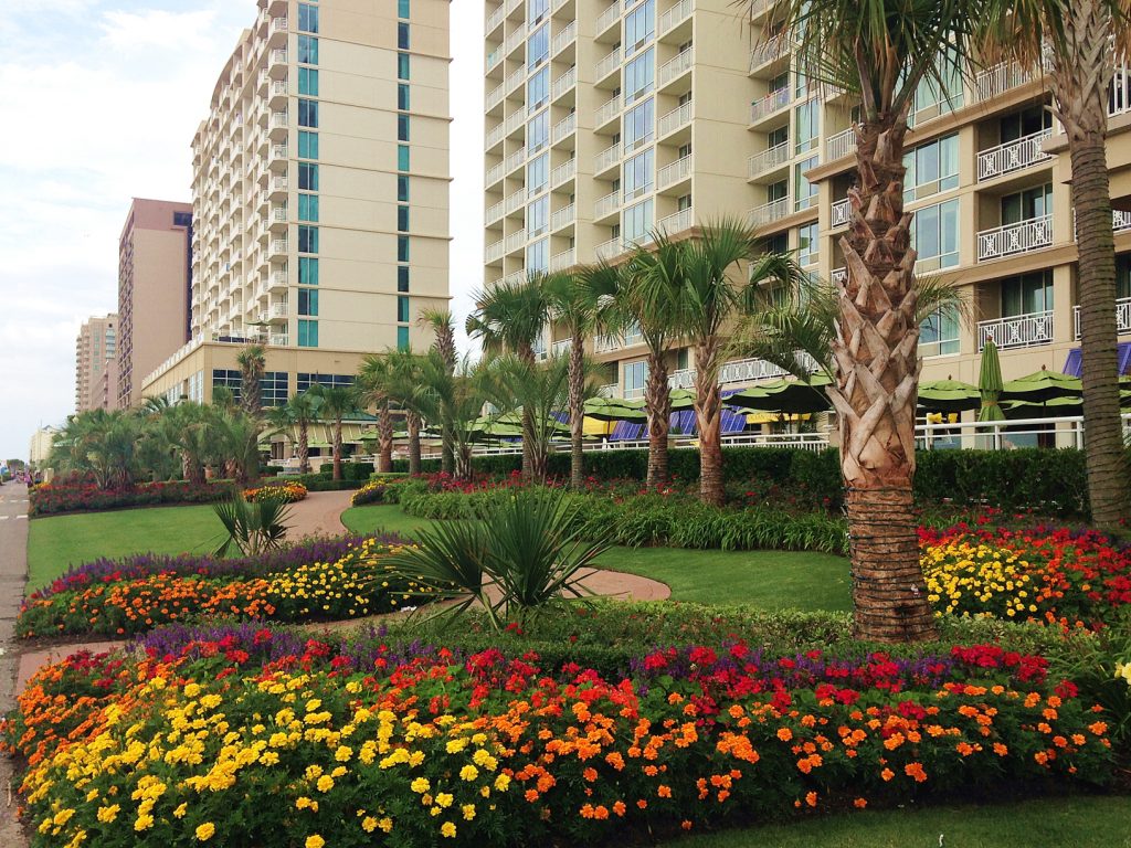 things to do in Virginia Beach things to do in Virginia Beach