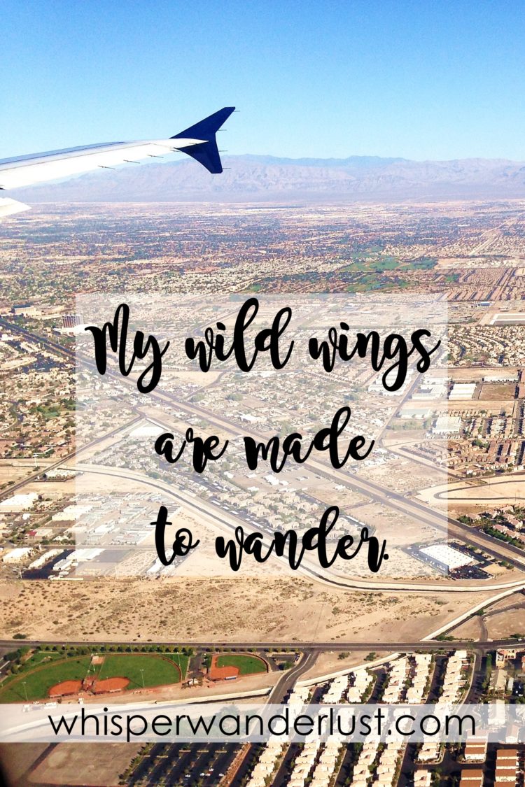 My wild wings are made to wander.