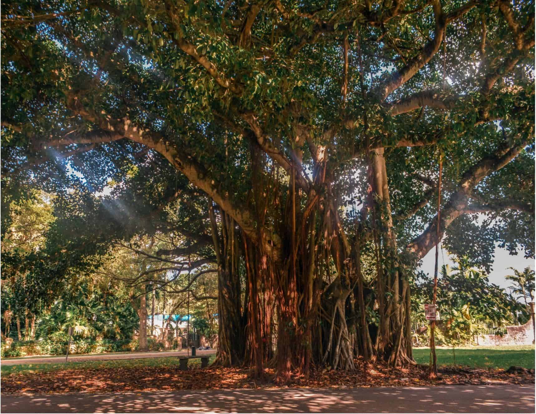 how to spend a day in Miami | things to do in miami for one day - coral gables how to spend a day in Miami | things to do in miami for one day