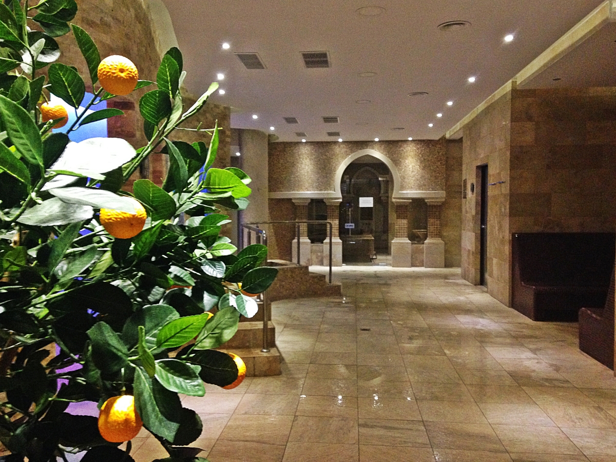 Tisa Spa Resort Baile Olanesti