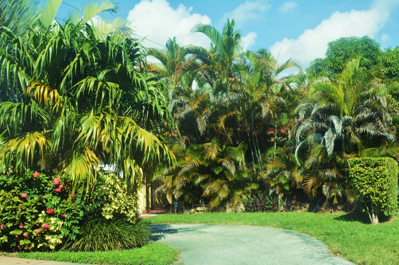 Coral Gables