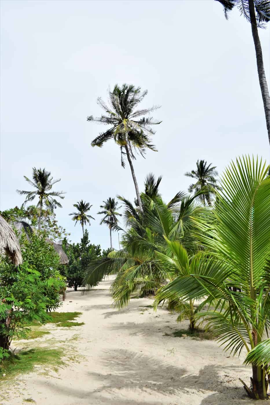 honda bay palawan | honda bay puerto princesa | honda bay island hopping