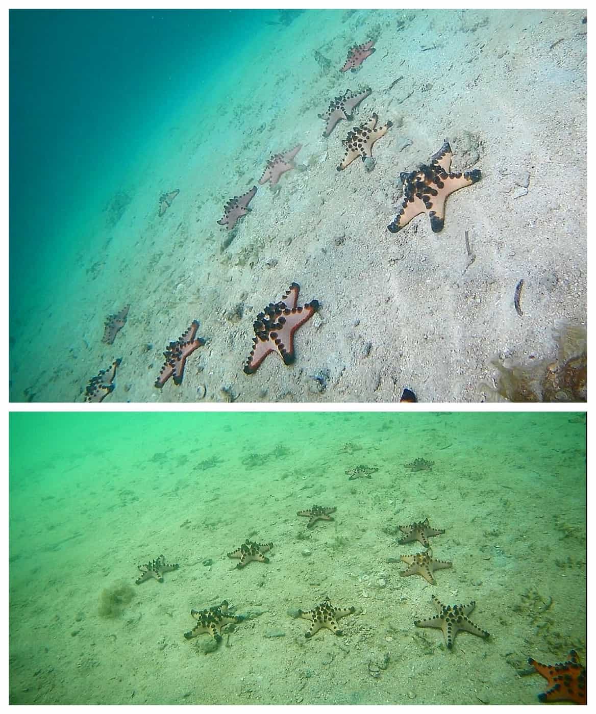 Island hopping in Honda Bay Palawan Philippines