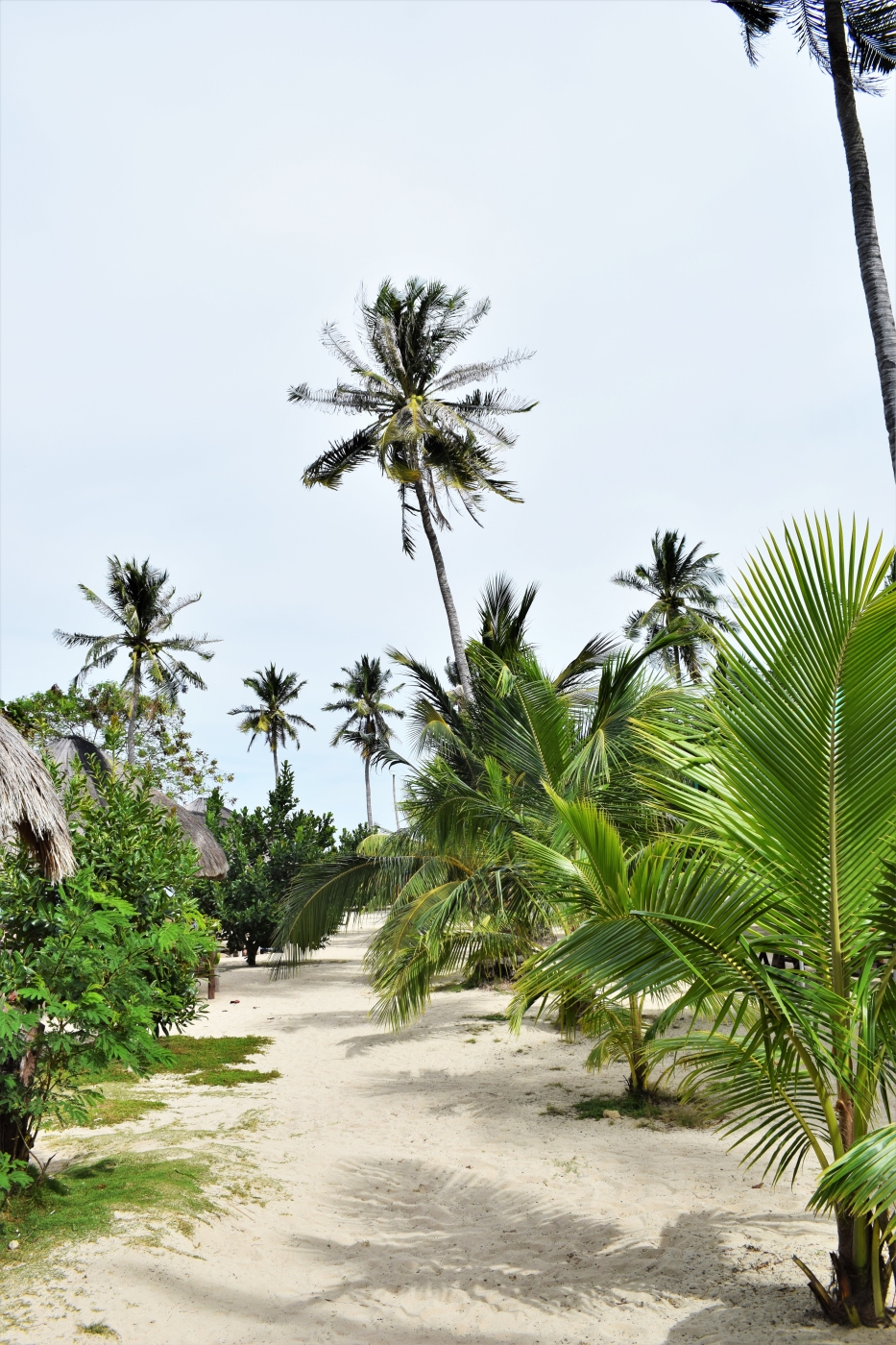 Honda Bay island hopping Puerto Princesa Palawan Philippines