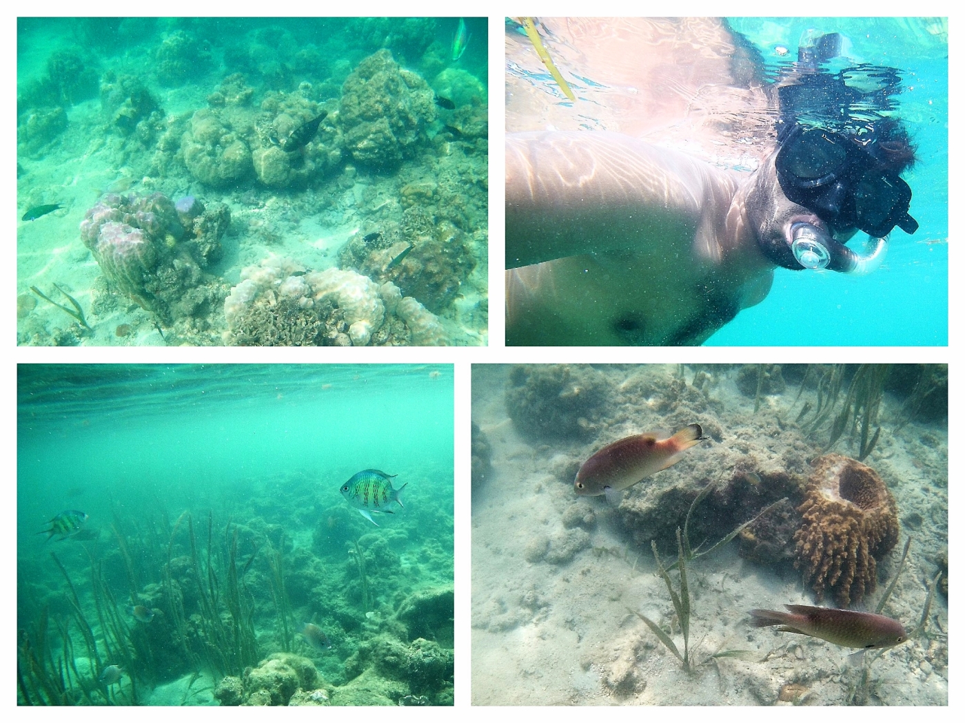 Honda Bay island hopping Puerto Princesa Palawan Philippines