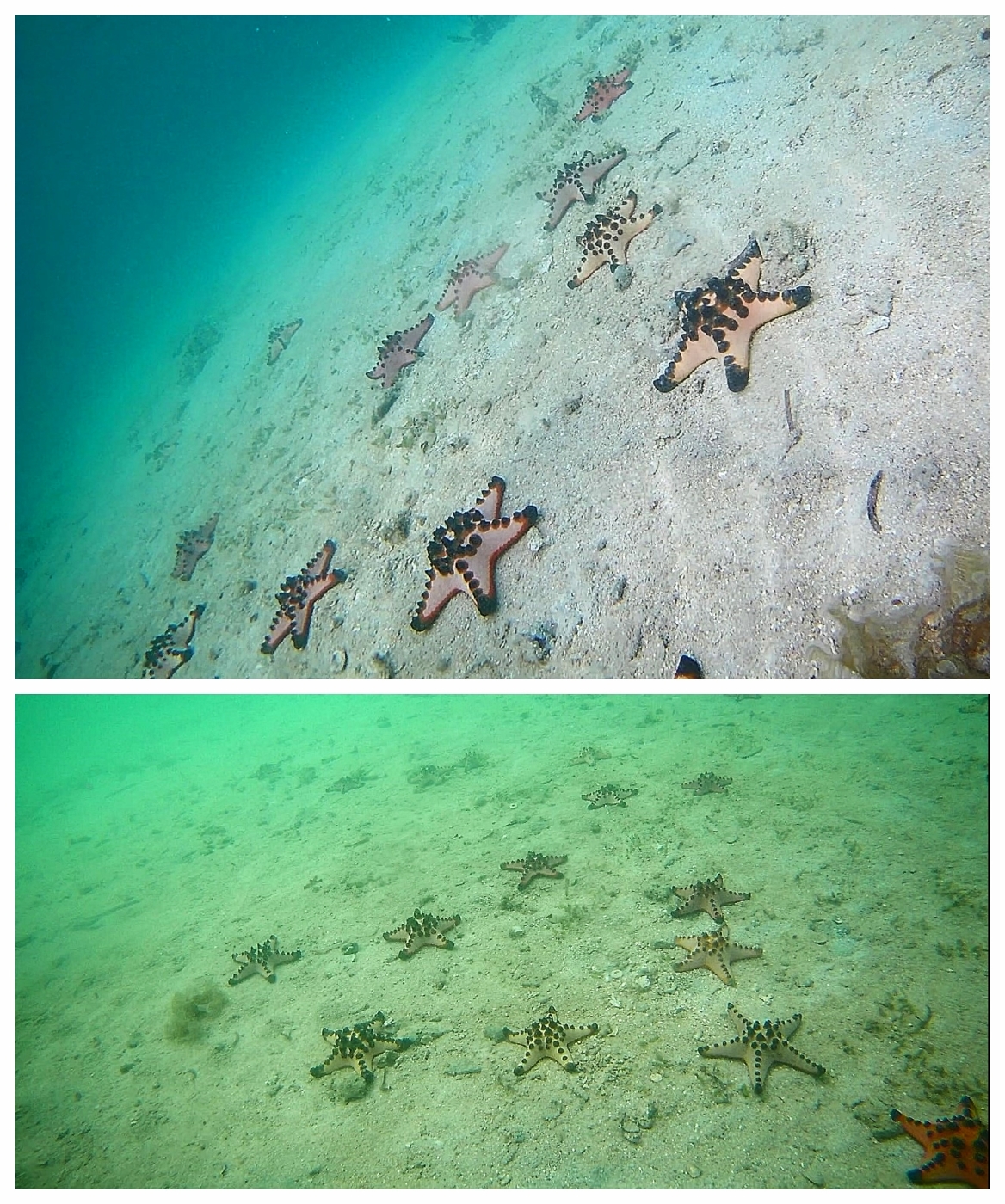 Honda Bay island hopping Puerto Princesa Palawan Philippines