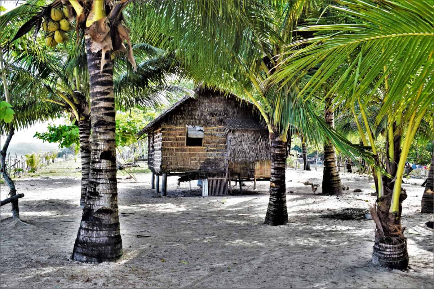 20 amazing photos of san vicente palawan philippines