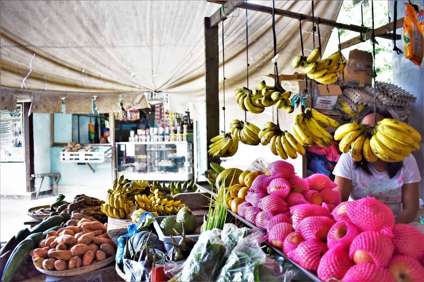 20 amazing photos of san vicente palawan philippines