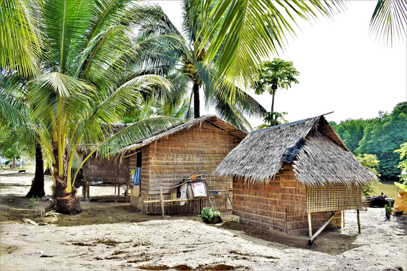 20 amazing photos of san vicente palawan philippines