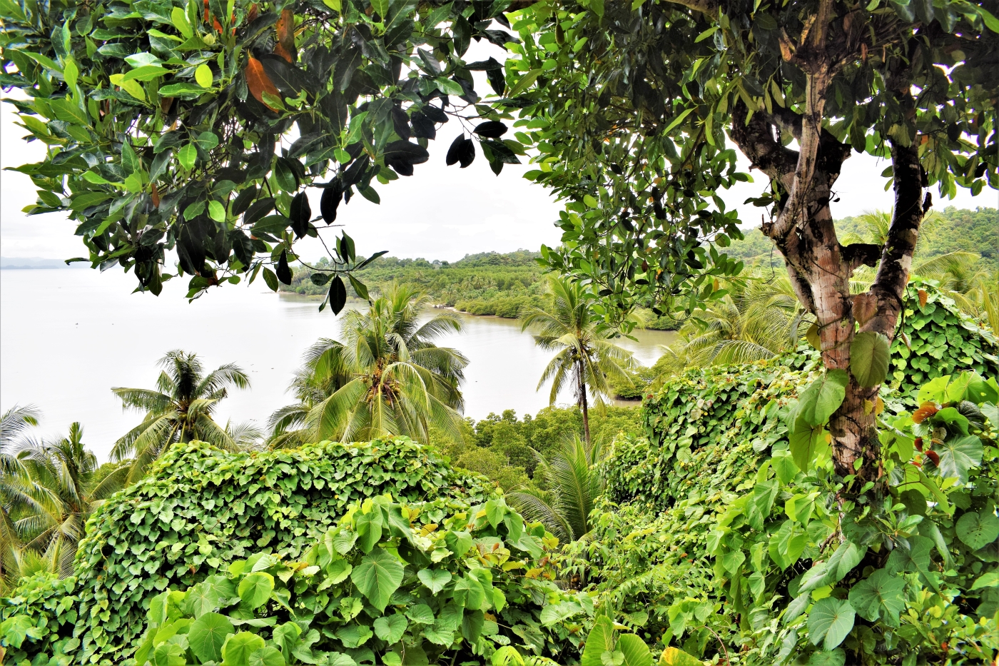 Peace and love resort san vicente palawan philippines