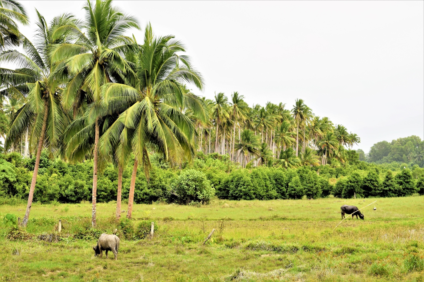 San Vicente Palawan Philippines