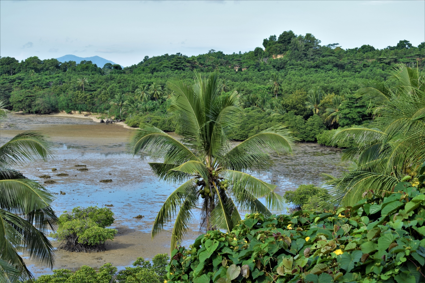 Peace and love resort san vicente palawan philippines