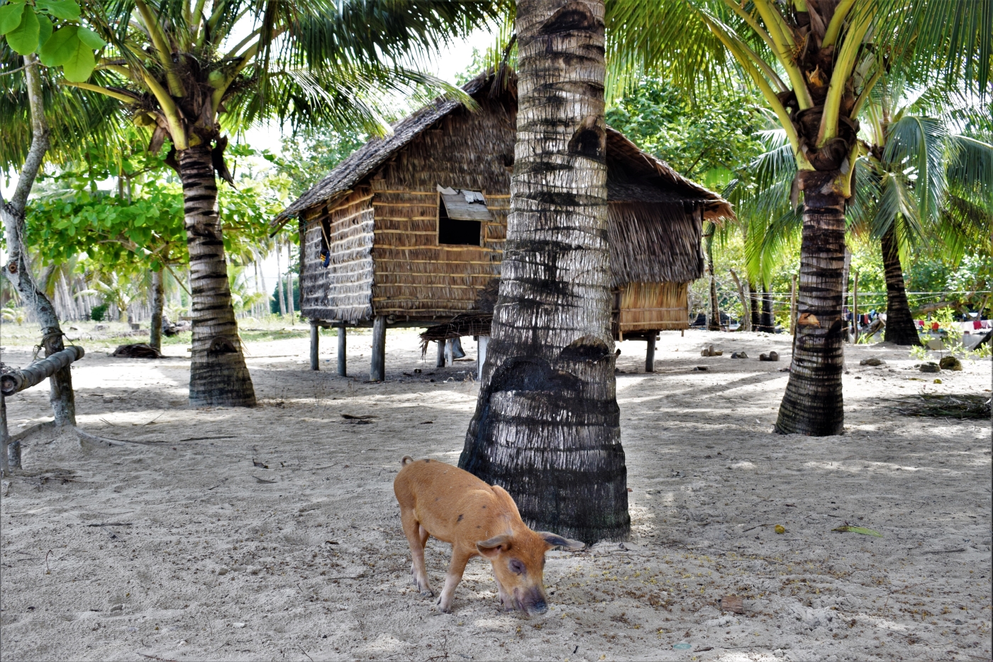 San Vicente Palawan Philippines