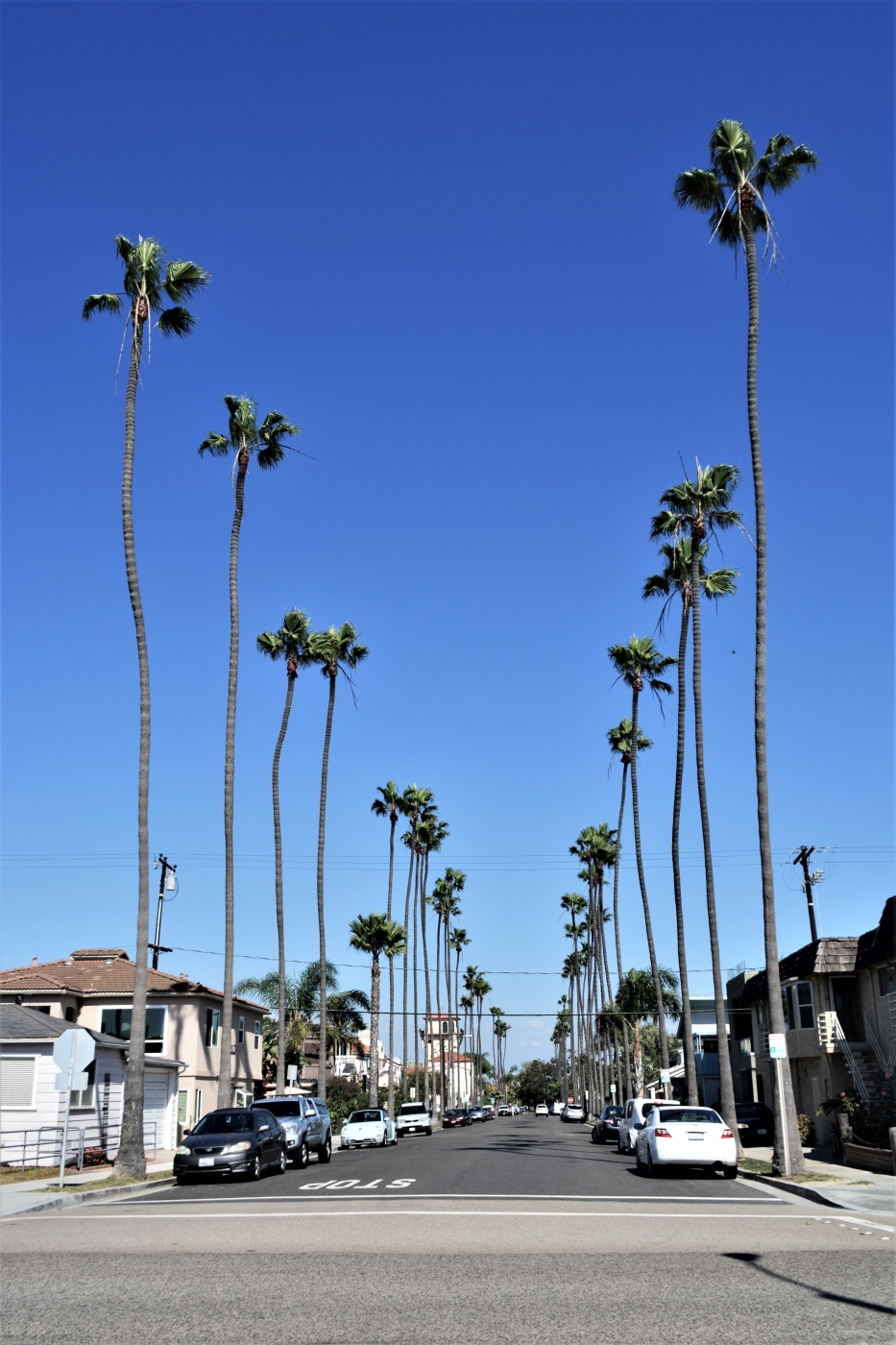 Sunset Beach California