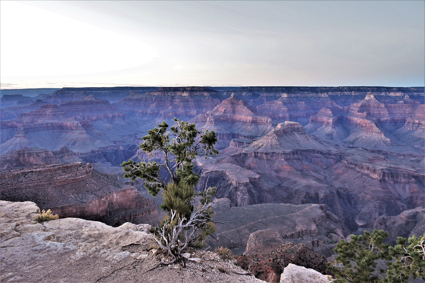 Grand Canyon Arizona USA
