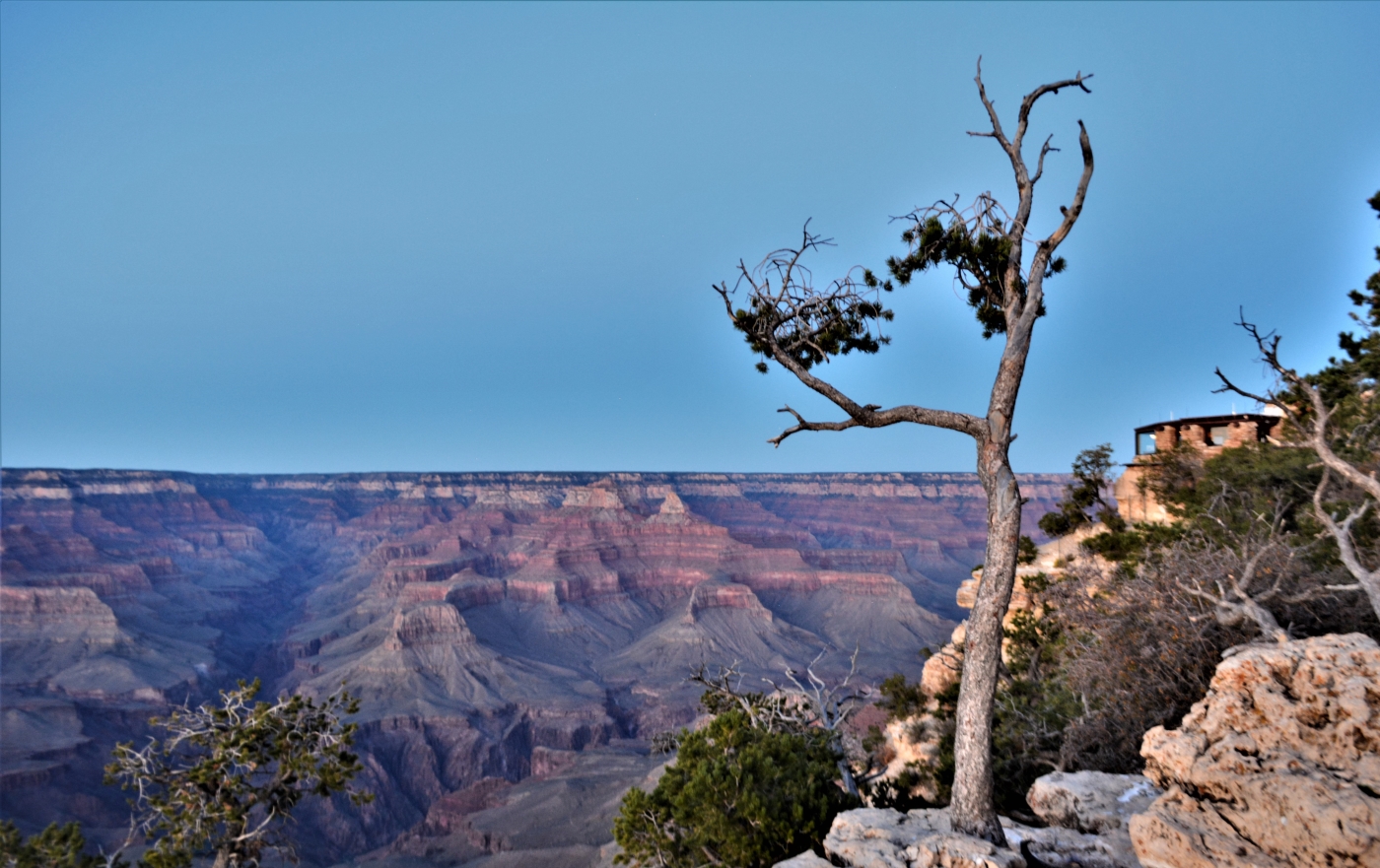 Grand Canyon Arizona USA