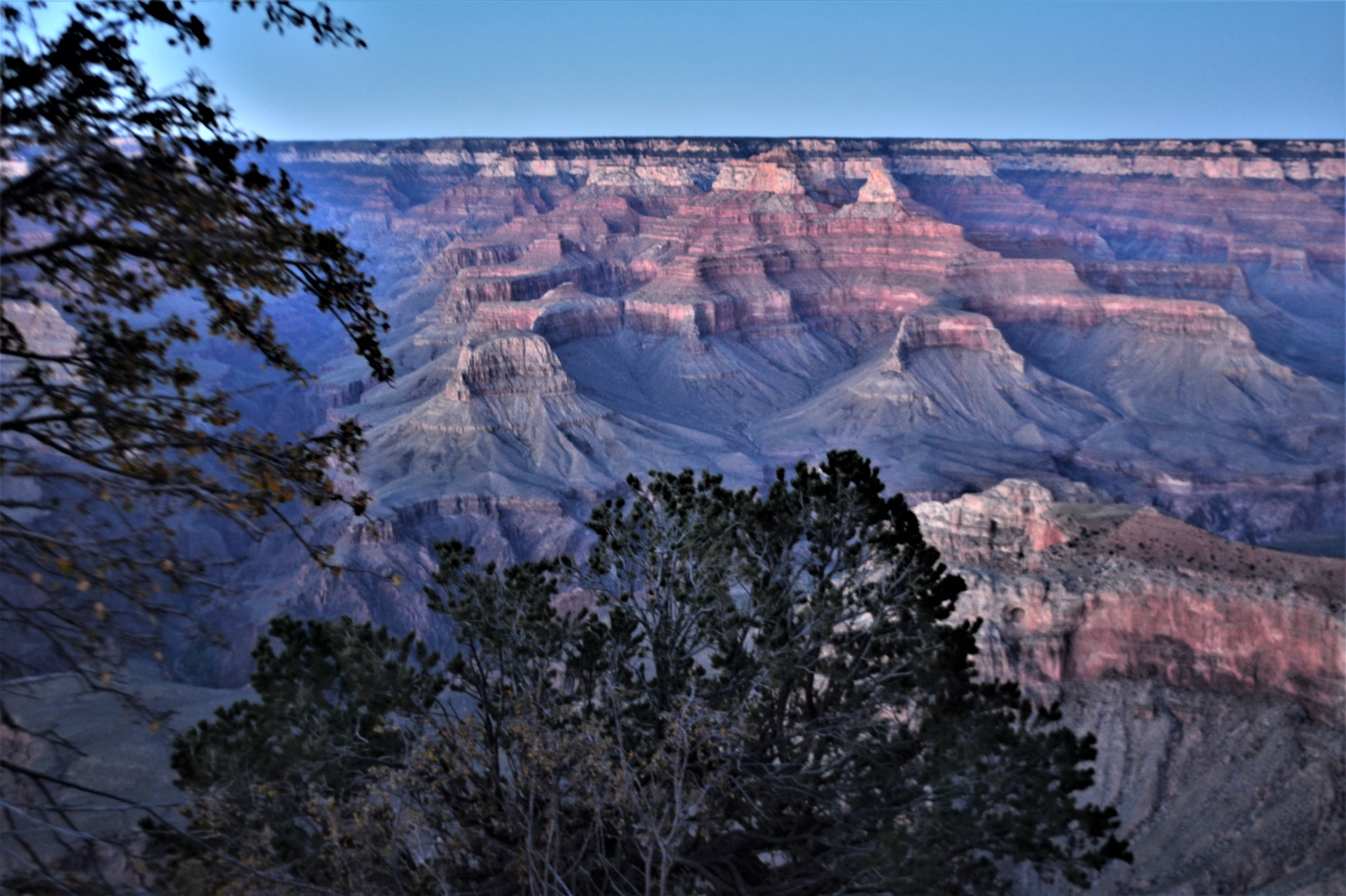 Grand Canyon Arizona USA