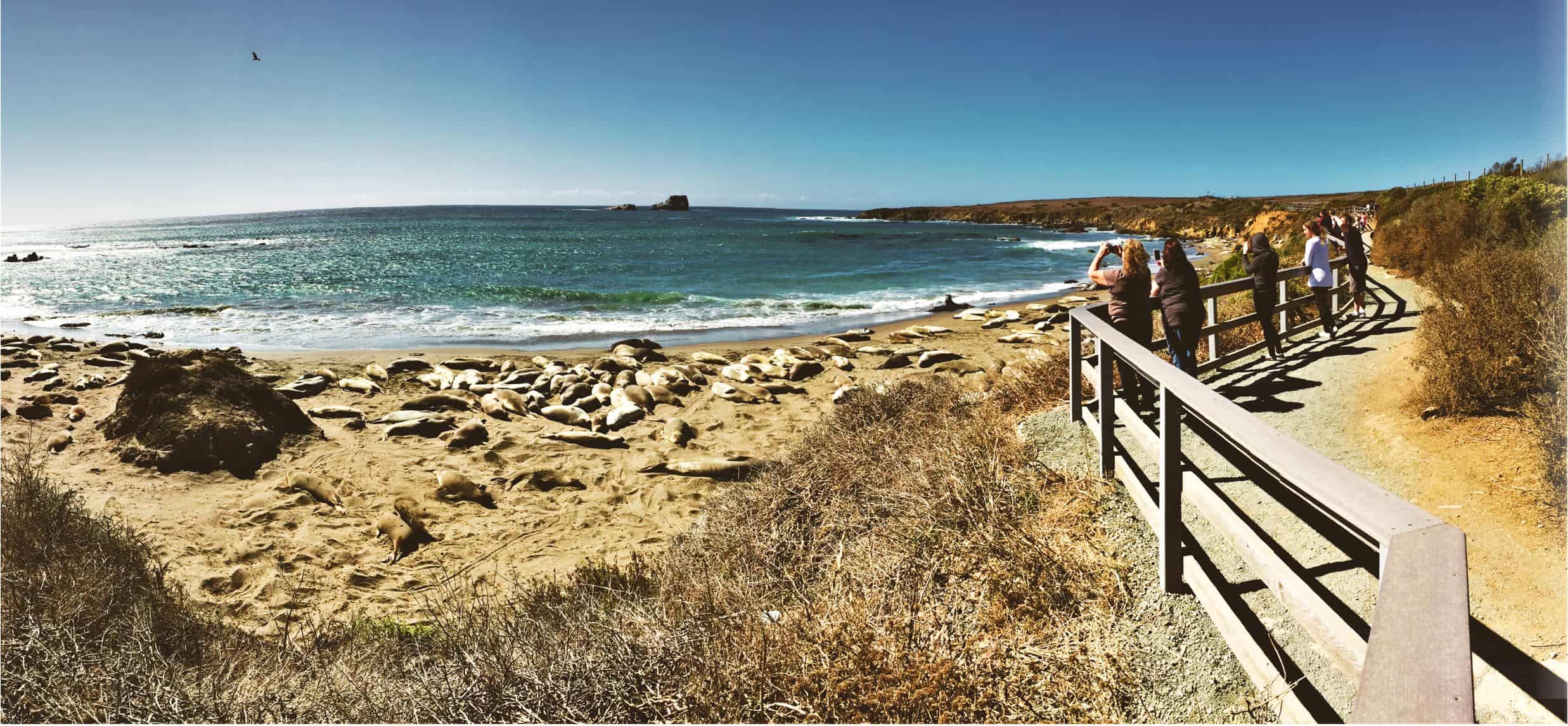 best 15 places to stop on the pacific coast highway | pacific coast highway stops best 15 places to stop on the pacific coast highway | pacific coast highway stops
