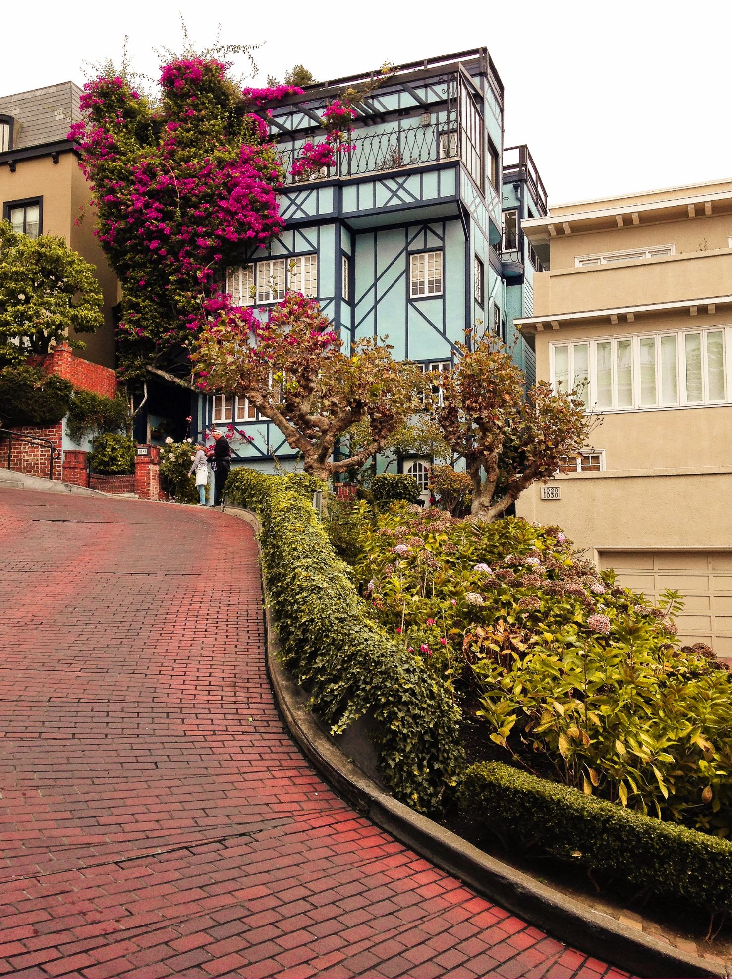 Lombard Street San Francisco