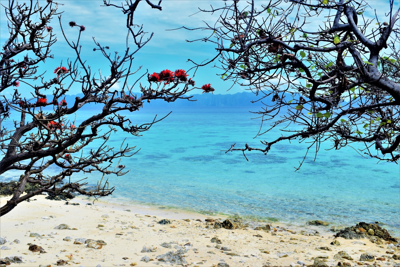 Coron Palawan Philippines island hopping