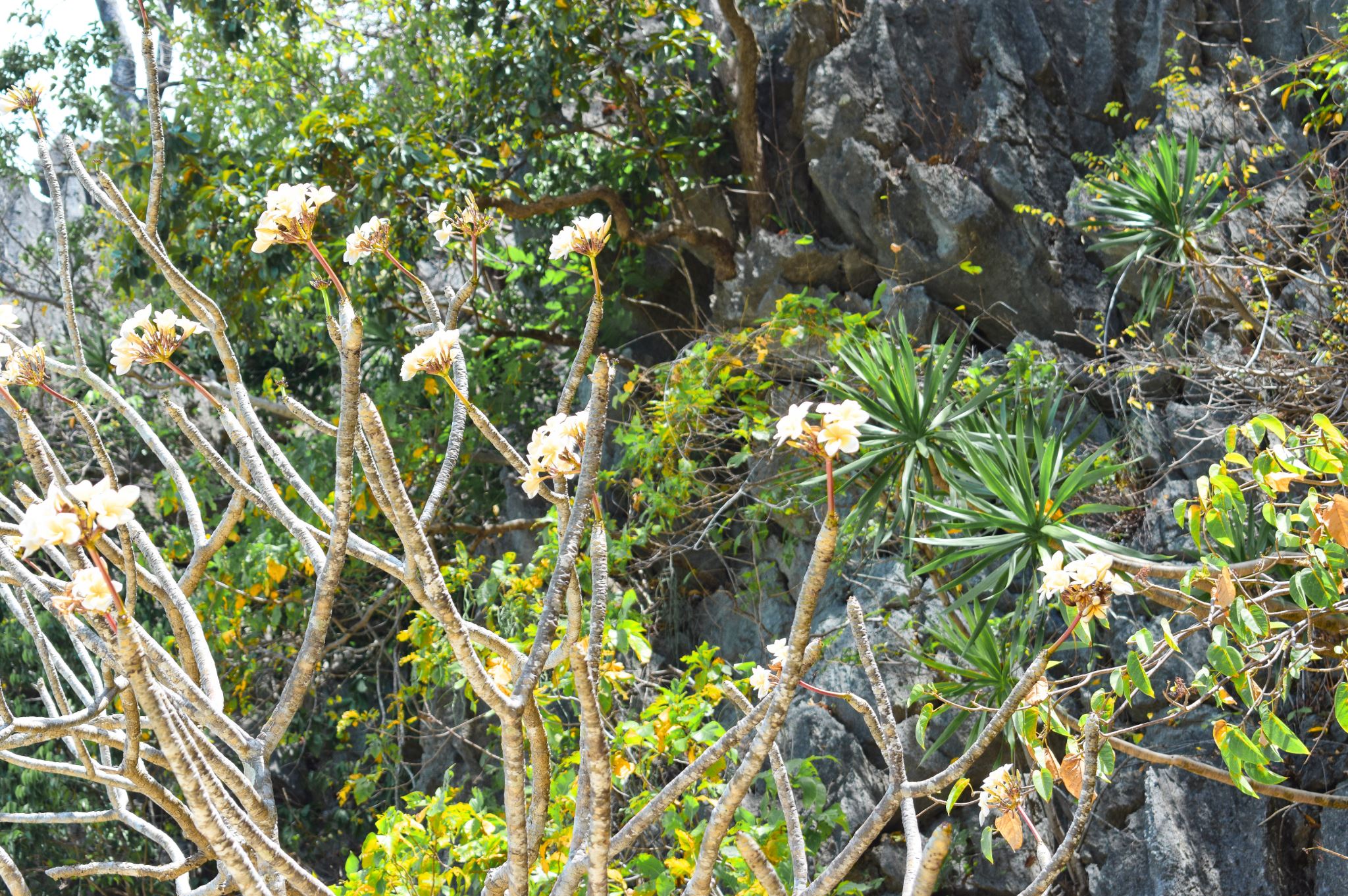 Coron Philippines Ultimate Tour