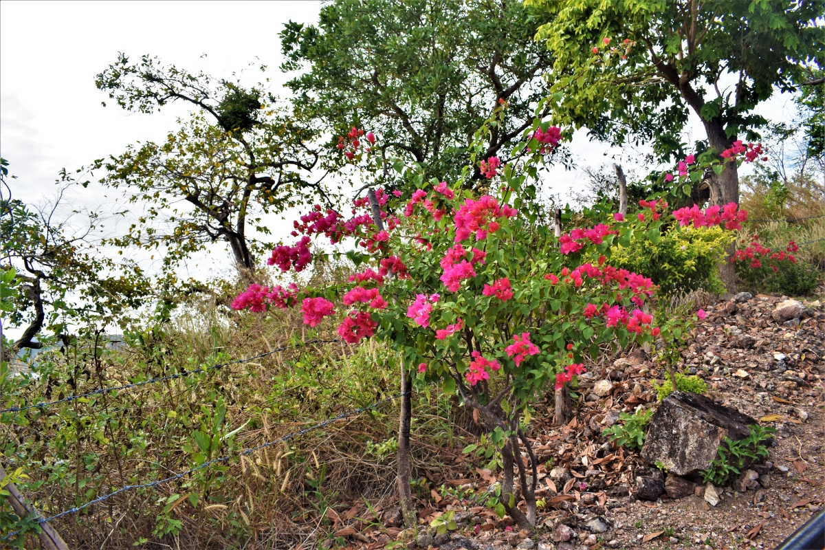 Mount Tapyas Coron Palawan Philippines