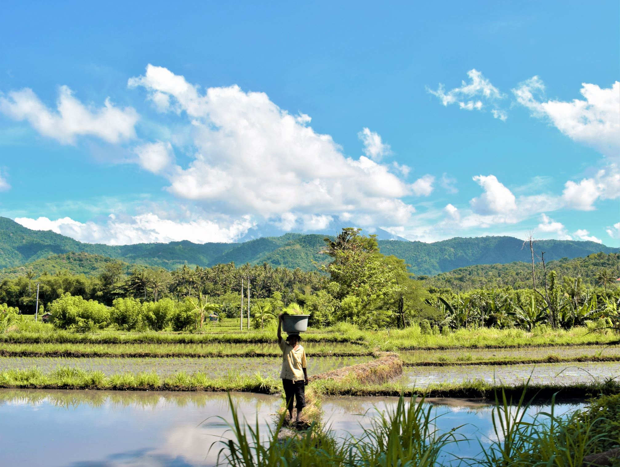 Bali Indonesia