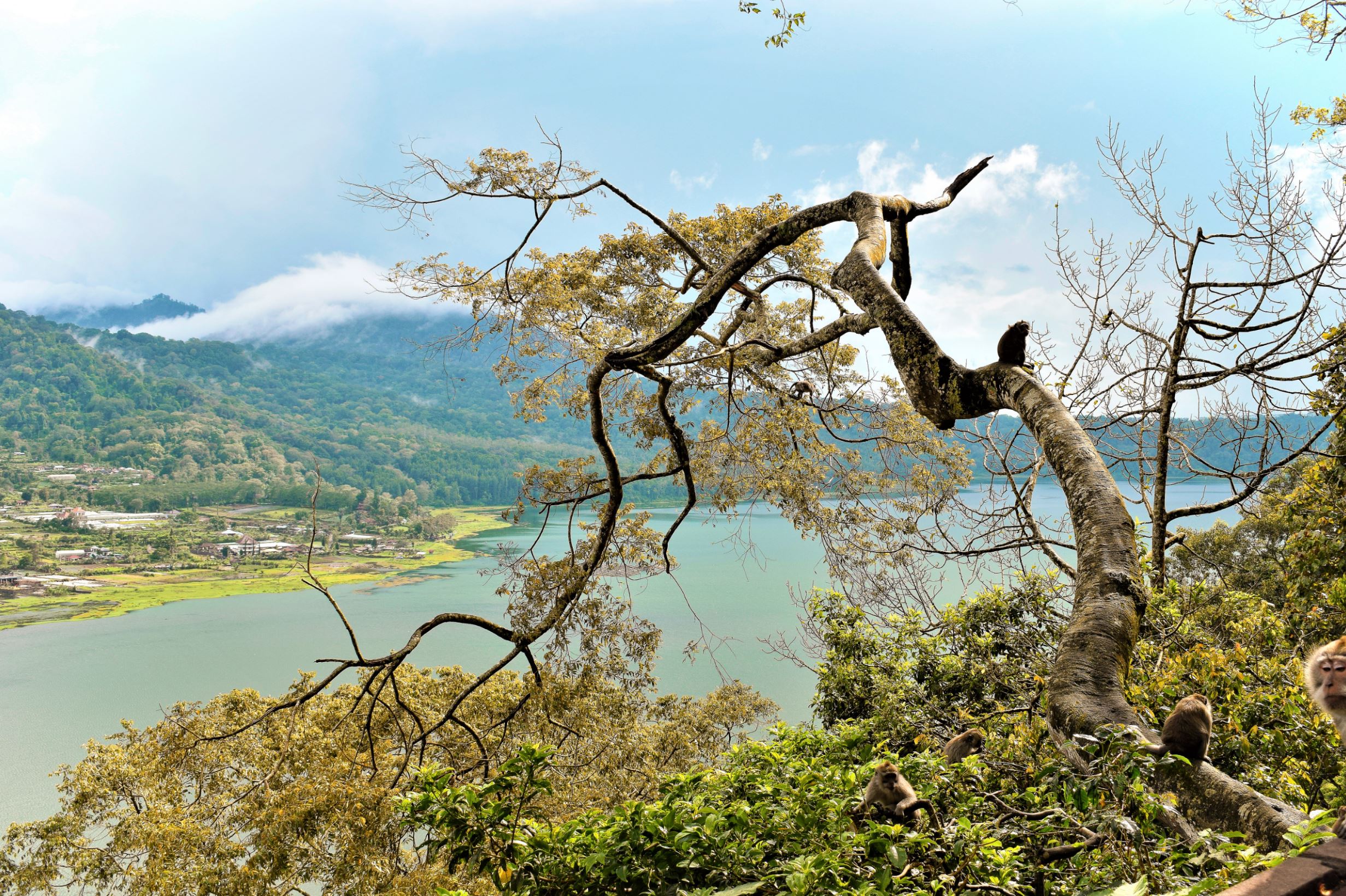 Bali Indonesia