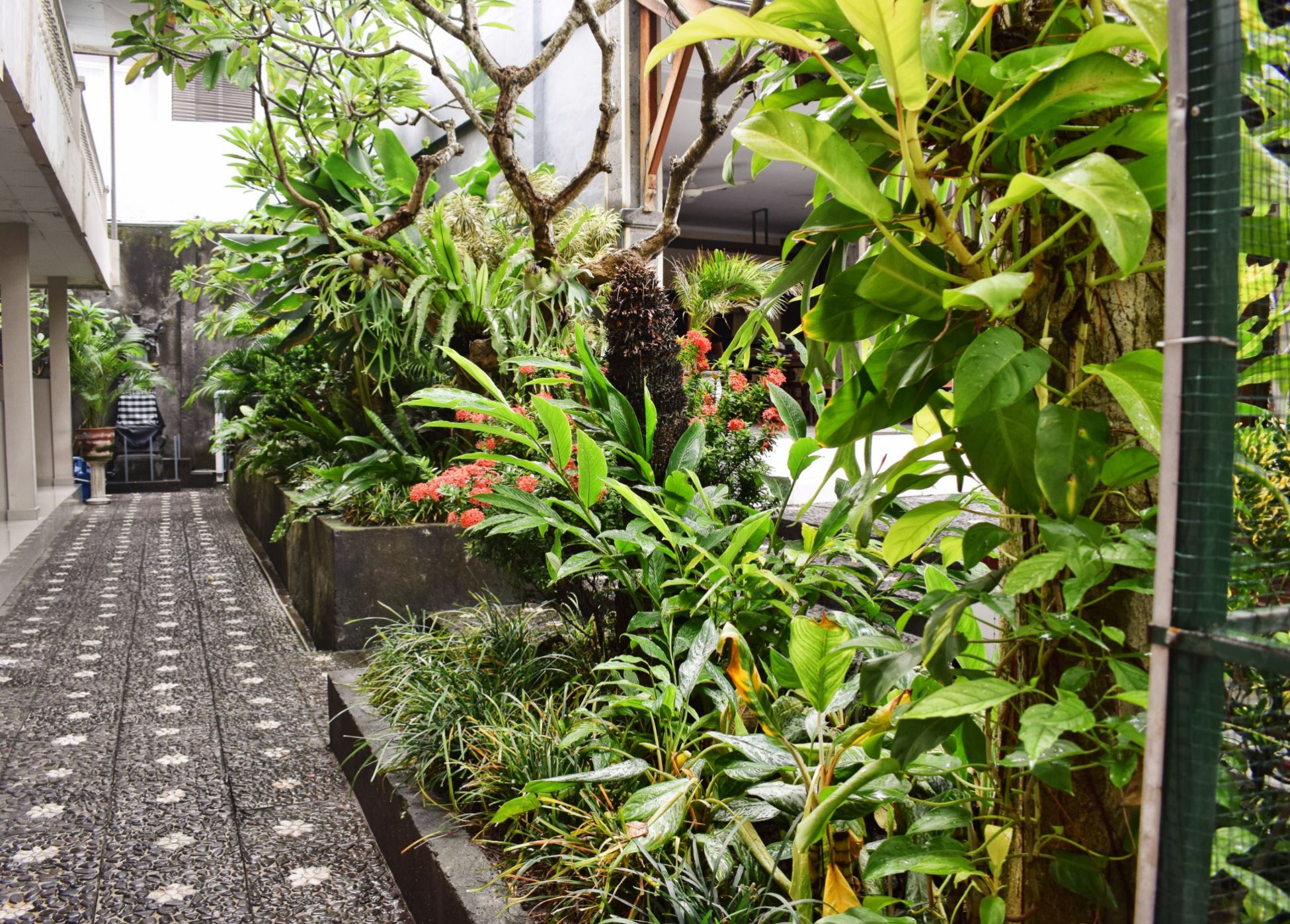 Hotel Jesen Inn 2 Kuta Bali Hotel Jesen Inn 2 Kuta Bali