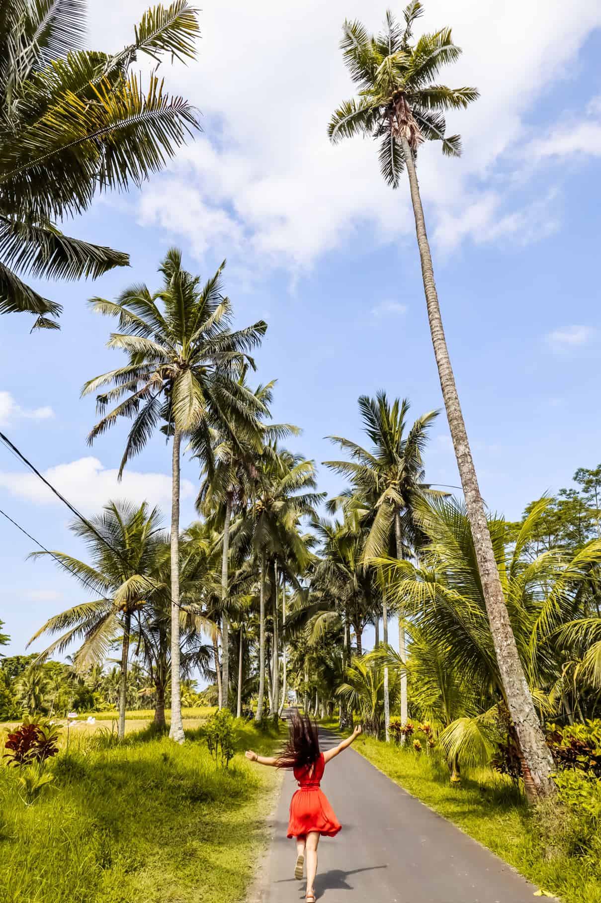 things to do in ubud bali | best things to do in ubud indonesia | places to visit in ubud | ubud itinerary