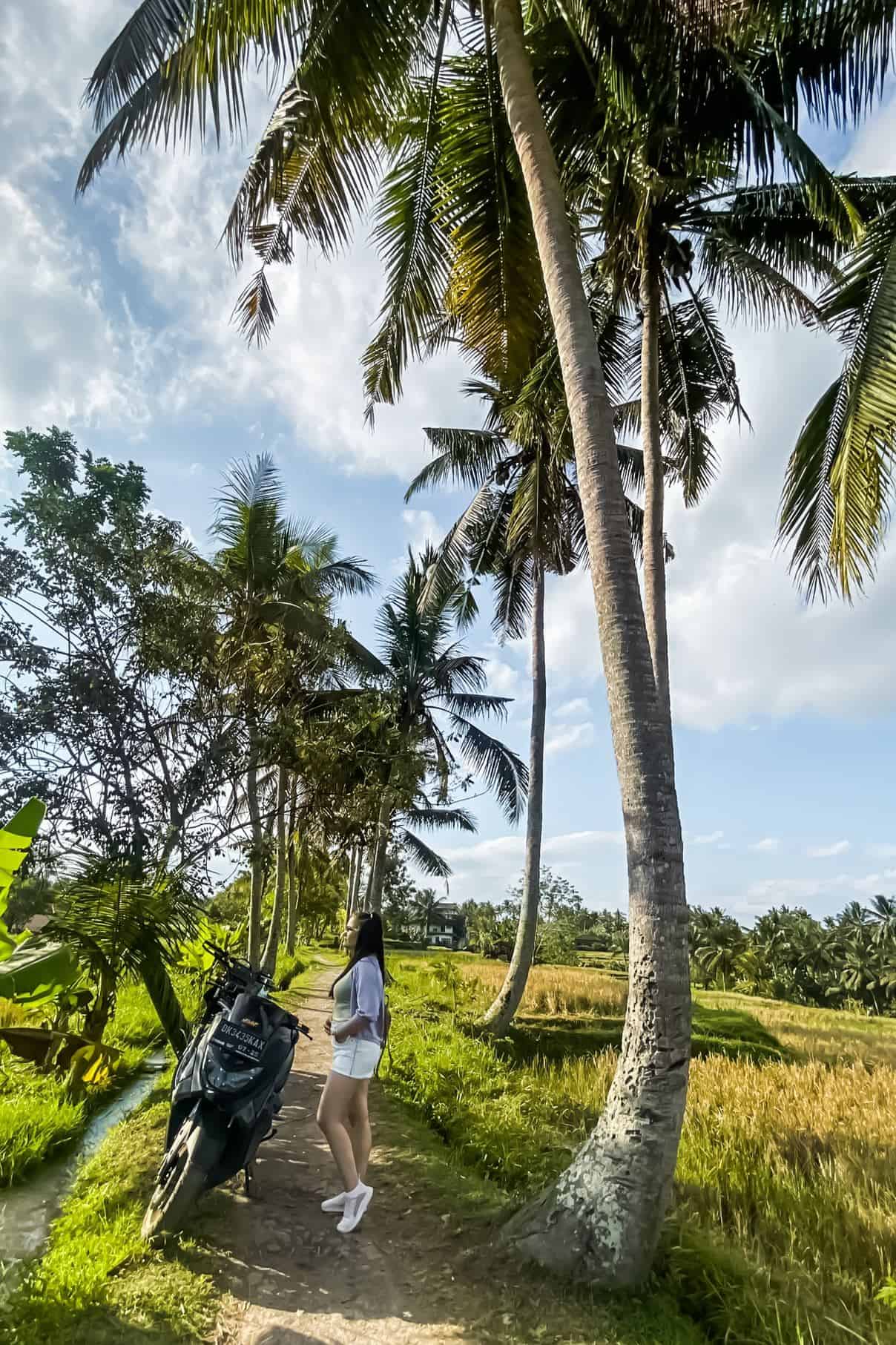 things to do in ubud bali | best things to do in ubud indonesia | places to visit in ubud | ubud itinerary