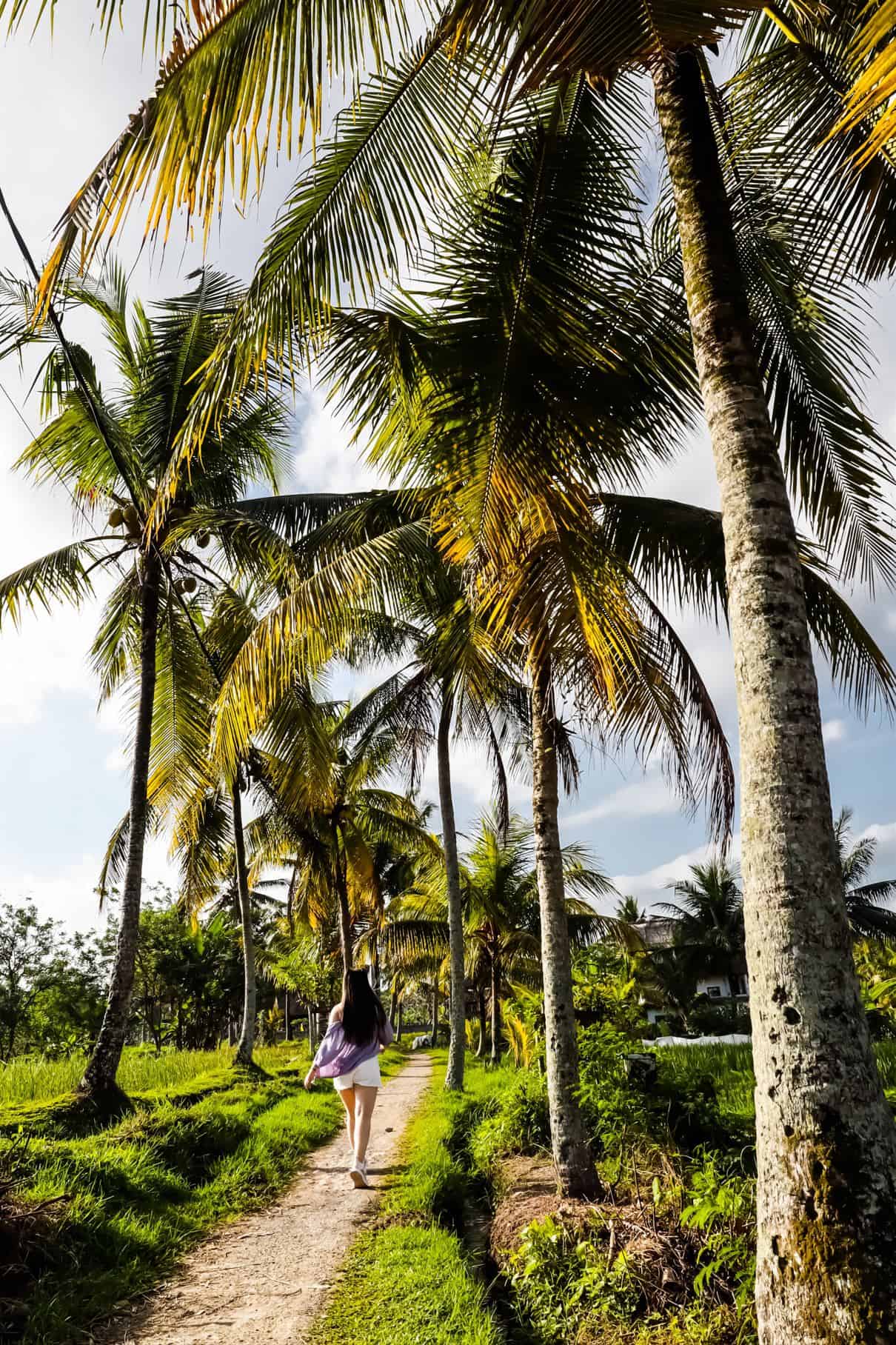 things to do in ubud bali | best things to do in ubud indonesia | places to visit in ubud | ubud itinerary