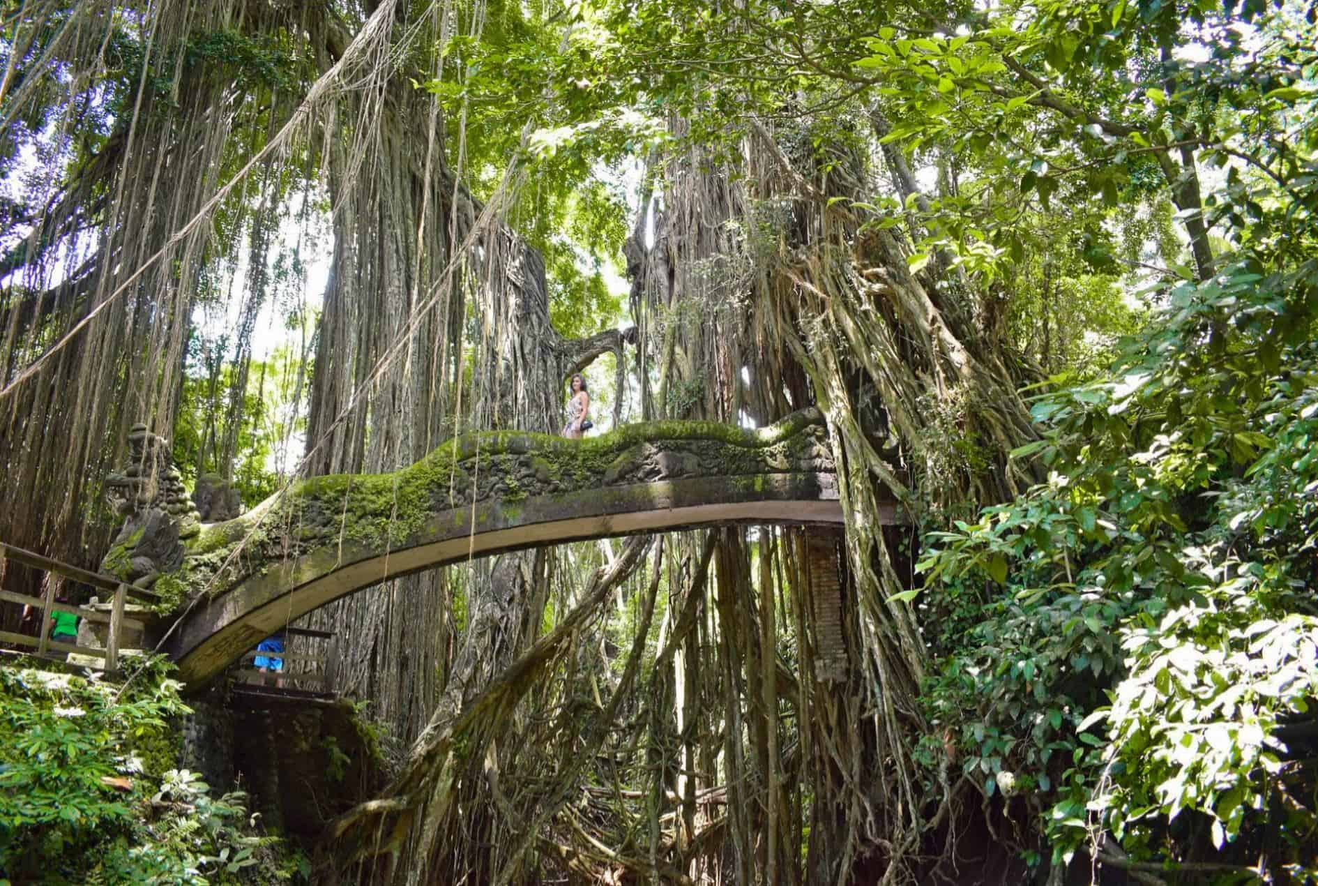 things to do in ubud | ubud attractions | places to visit in ubud