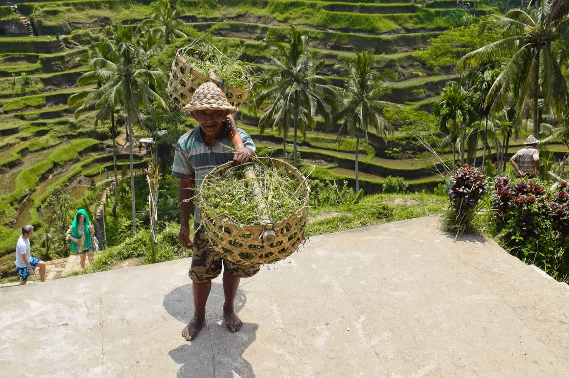 things to do in ubud | ubud attractions | places to visit in ubud
