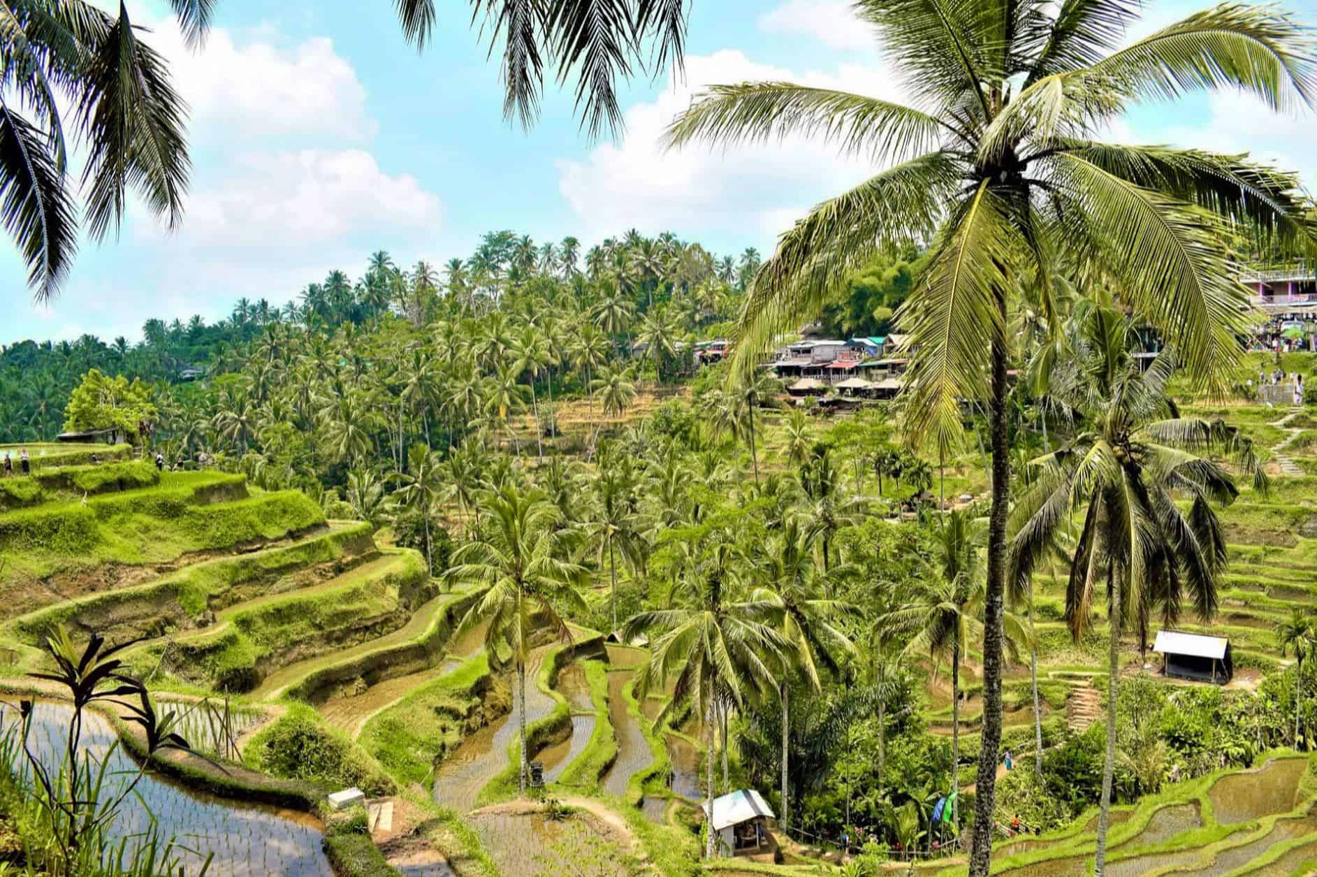 places to visit in ubud | ubud must visit | places to go in ubud | top things to do in ubud places to visit in ubud | ubud must visit | places to go in ubud | top things to do in ubud