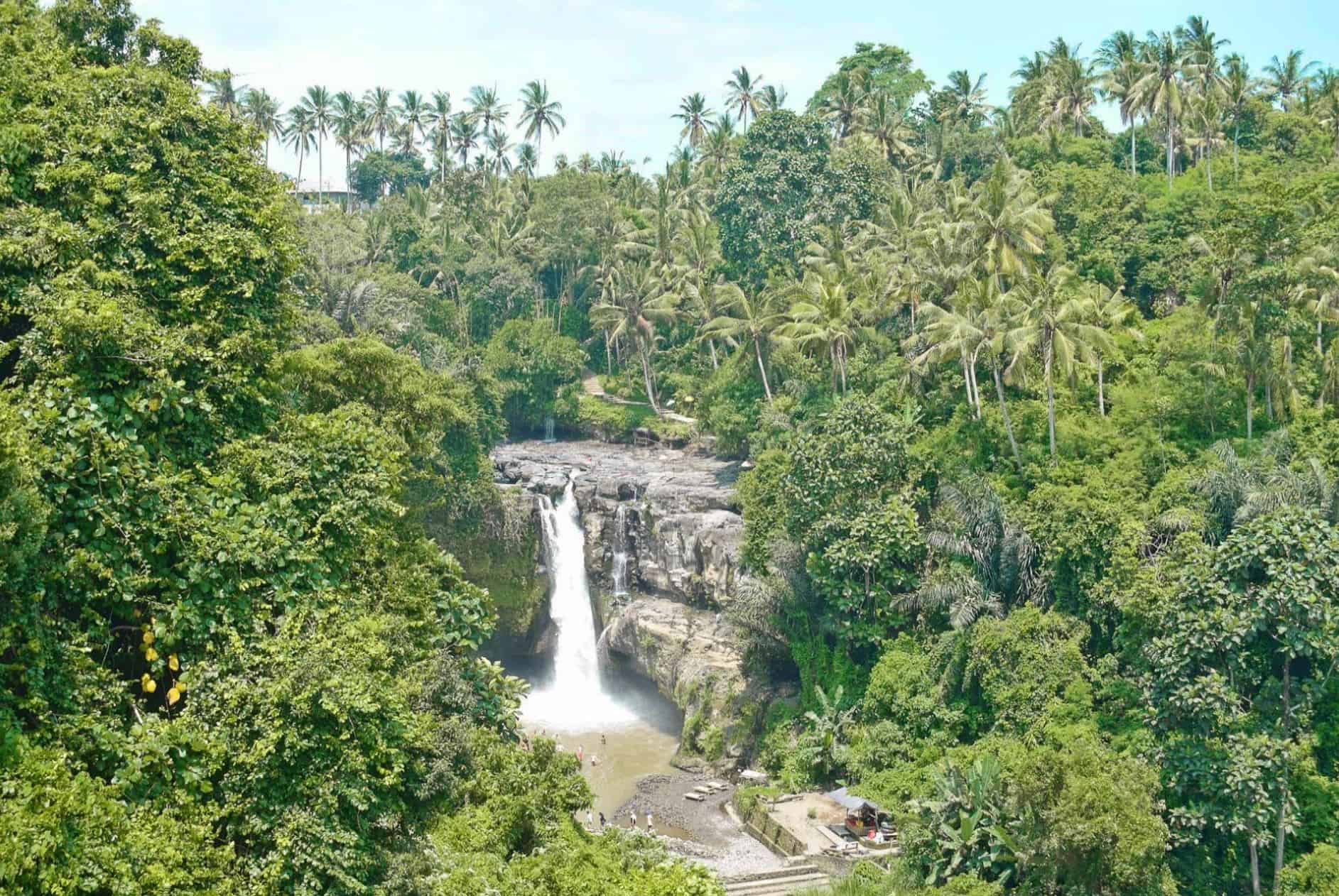 places to visit in ubud | ubud must visit | places to go in ubud | top things to do in ubud