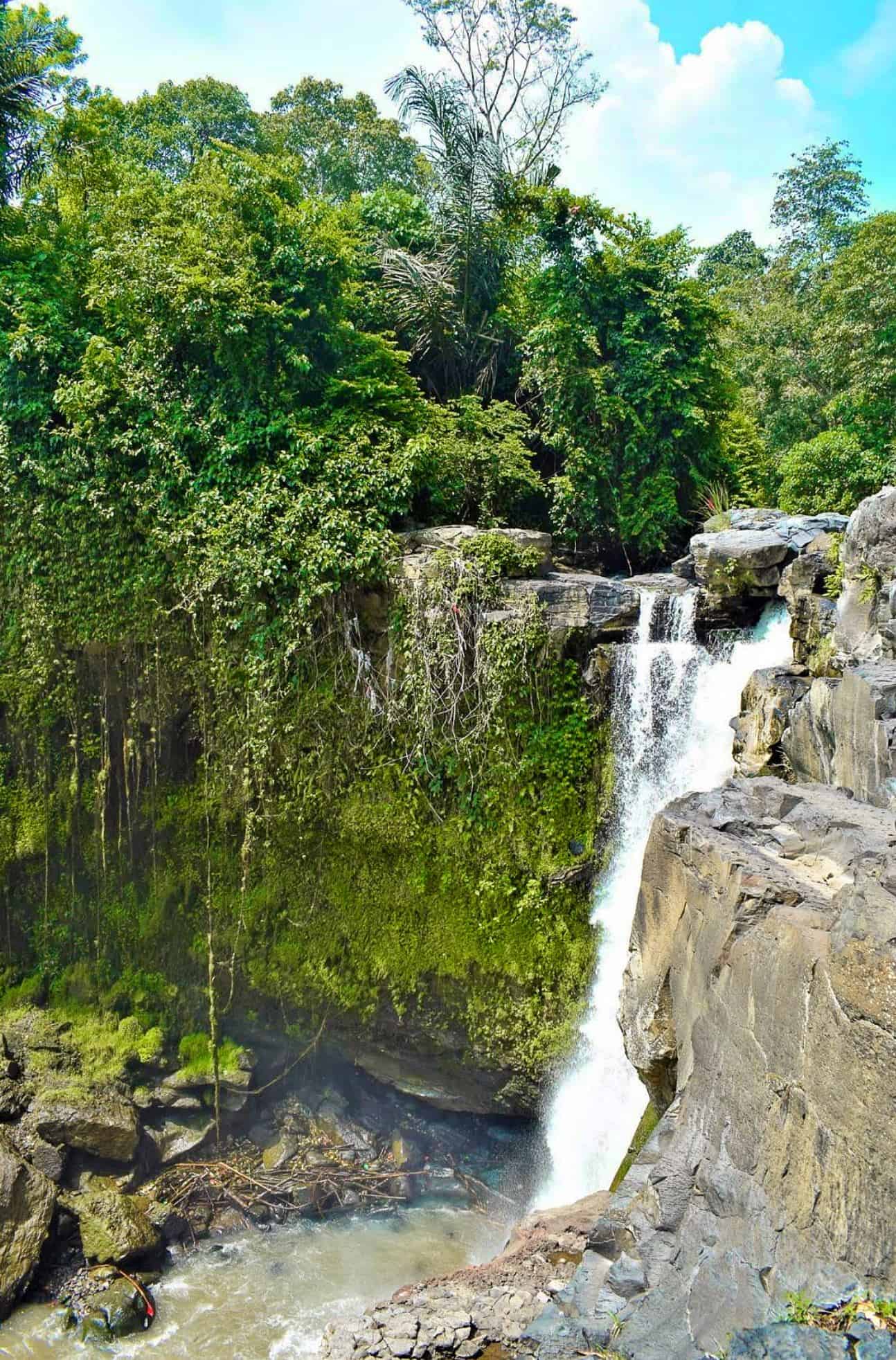 places to visit in ubud | ubud must visit | places to go in ubud | top things to do in ubud