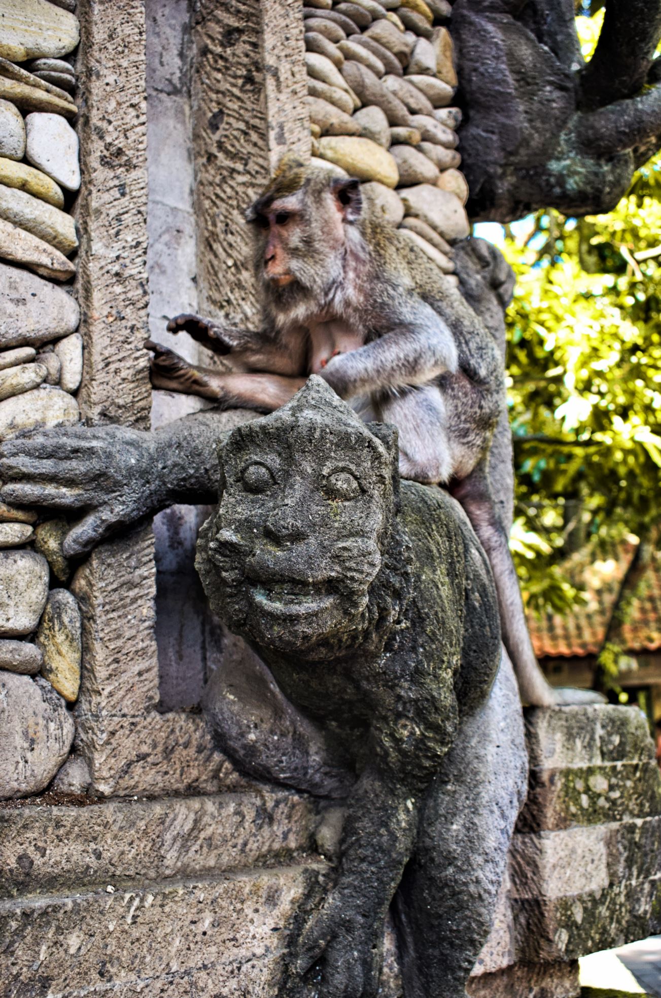 Monkey Forest Bali