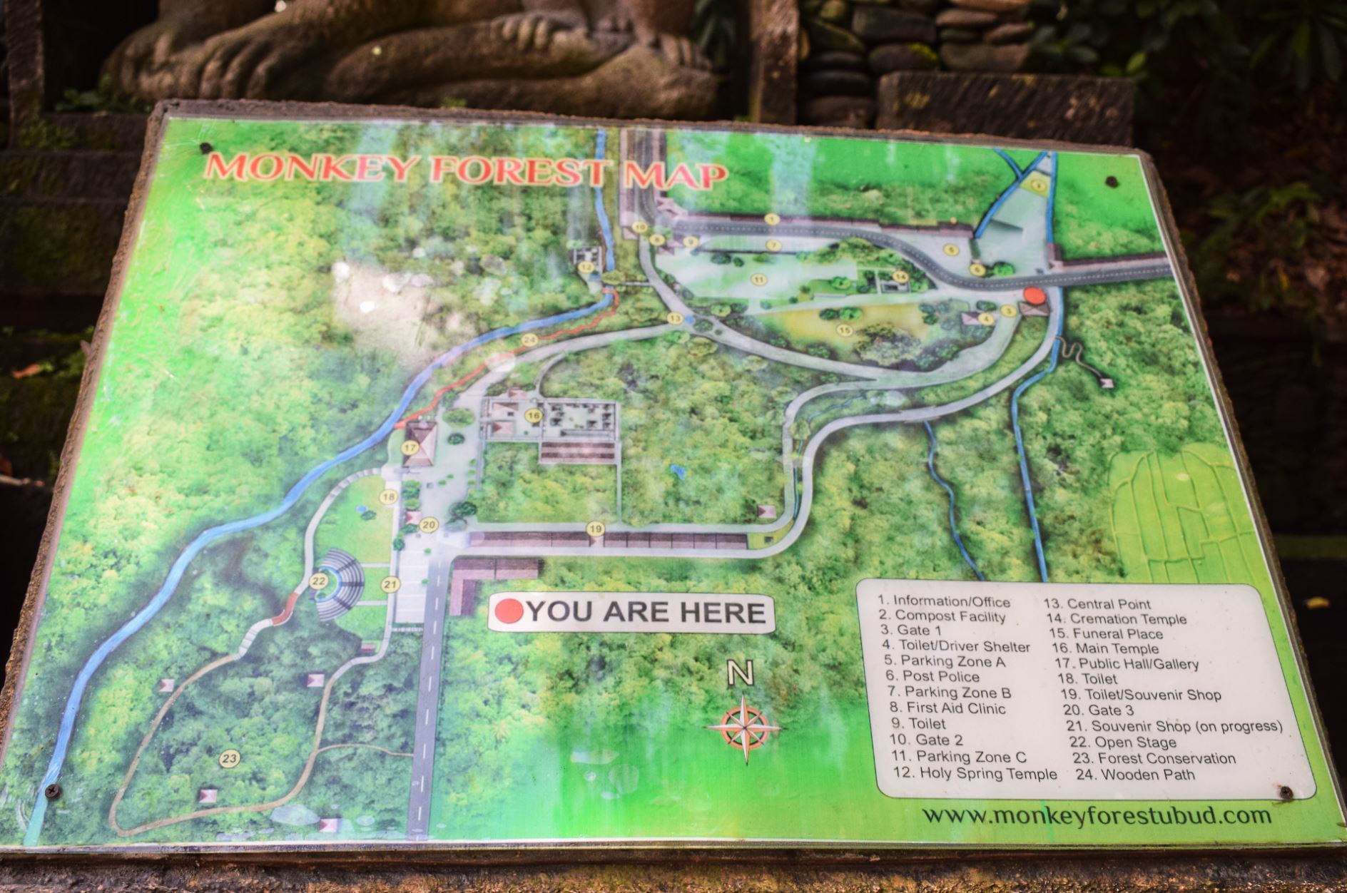 Monkey Forest Bali