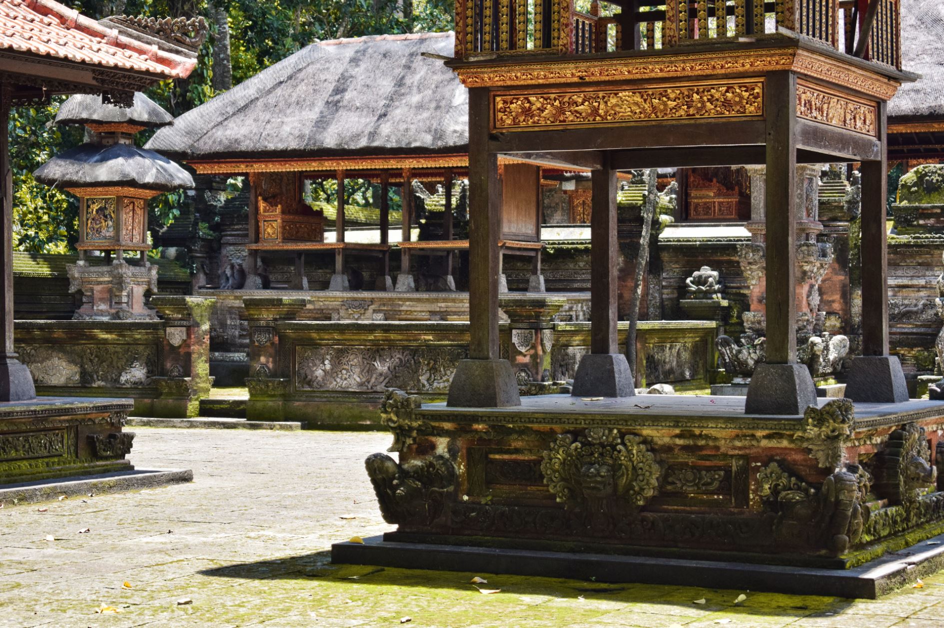 Monkey Forest Bali