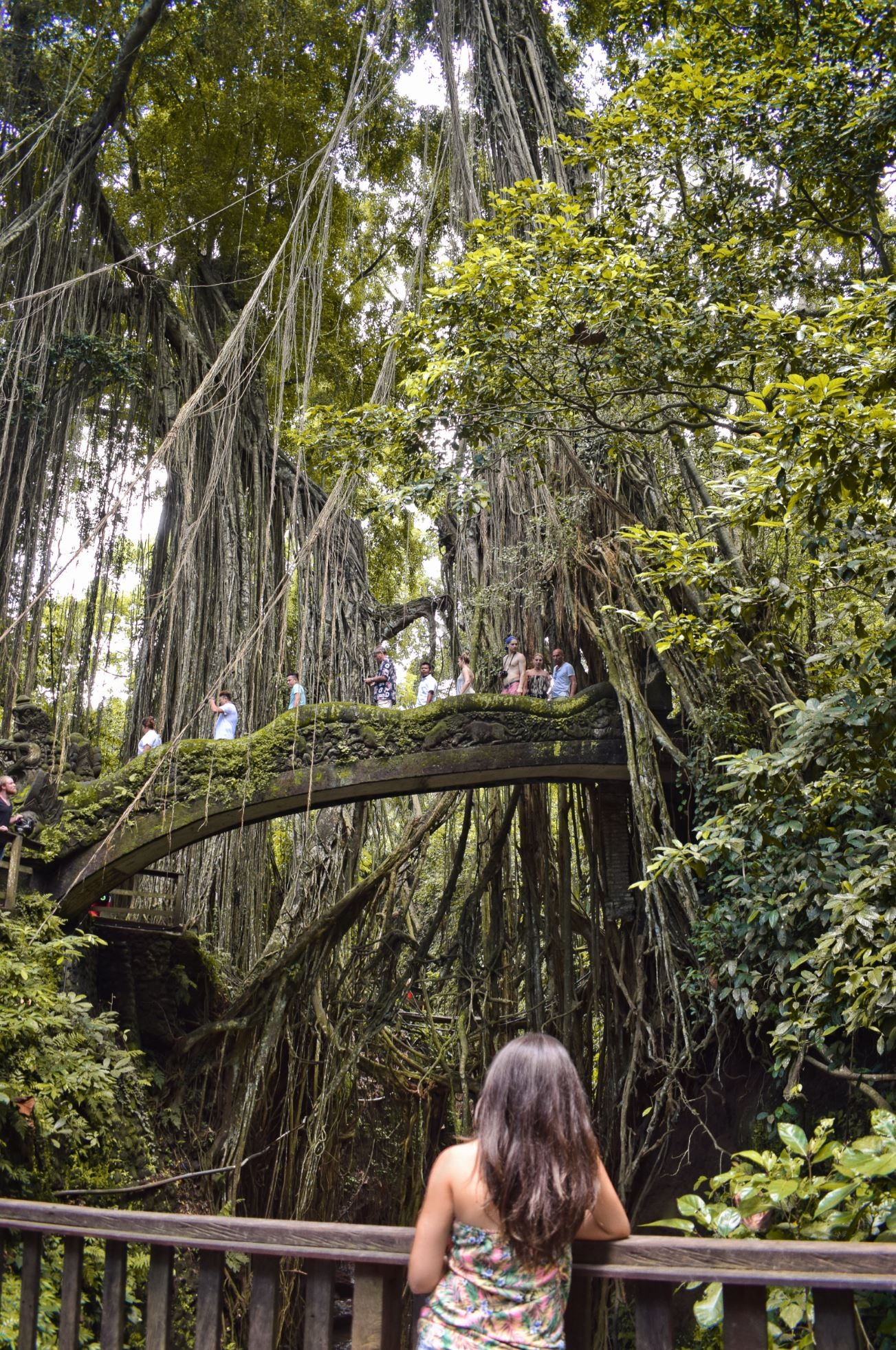 Monkey Forest Bali