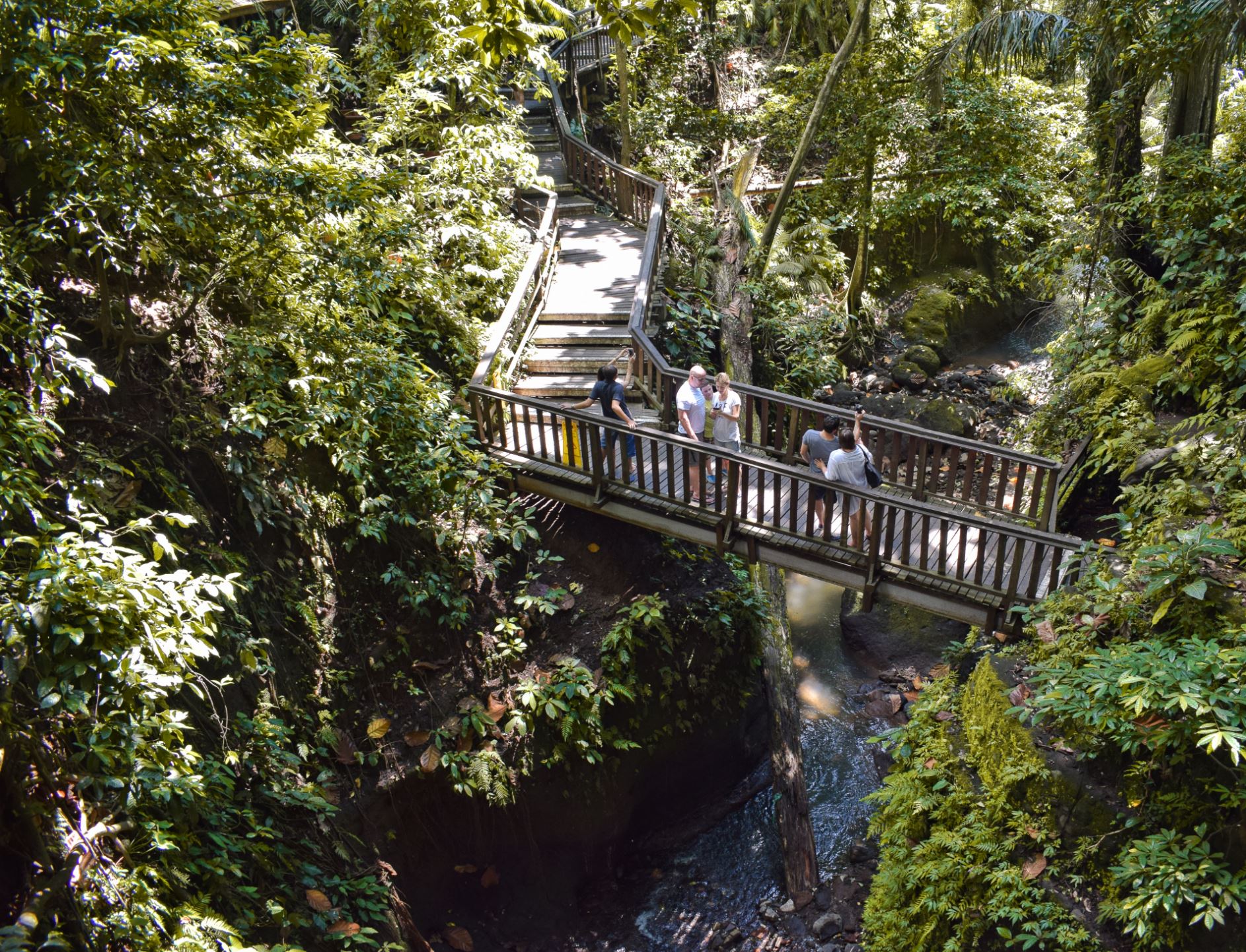 Monkey Forest Bali