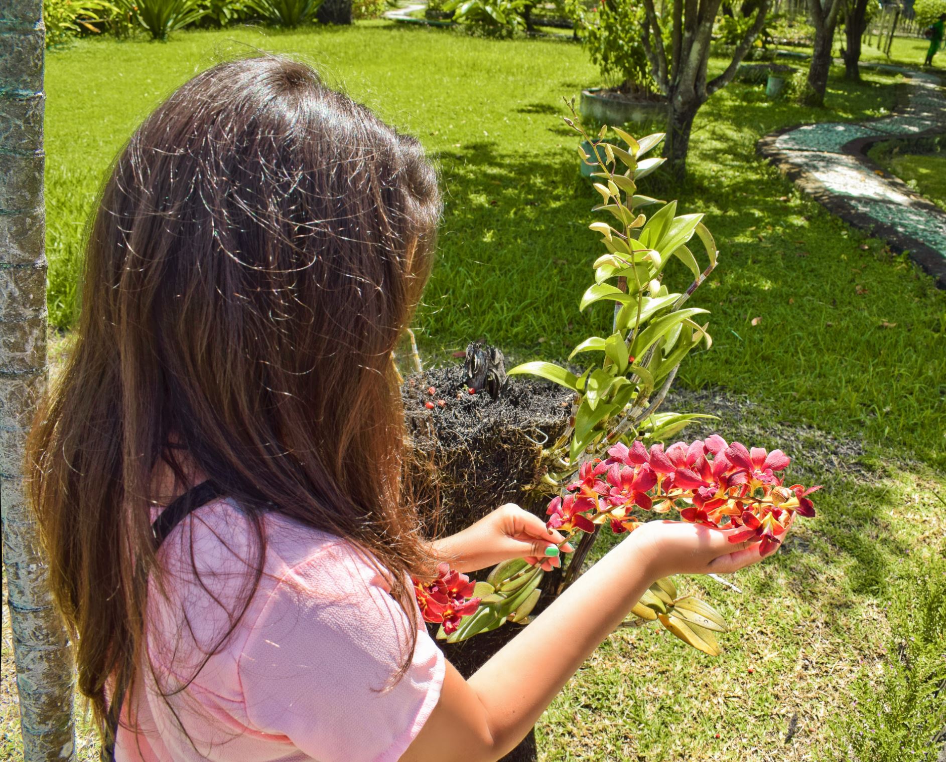 bali orchid garden