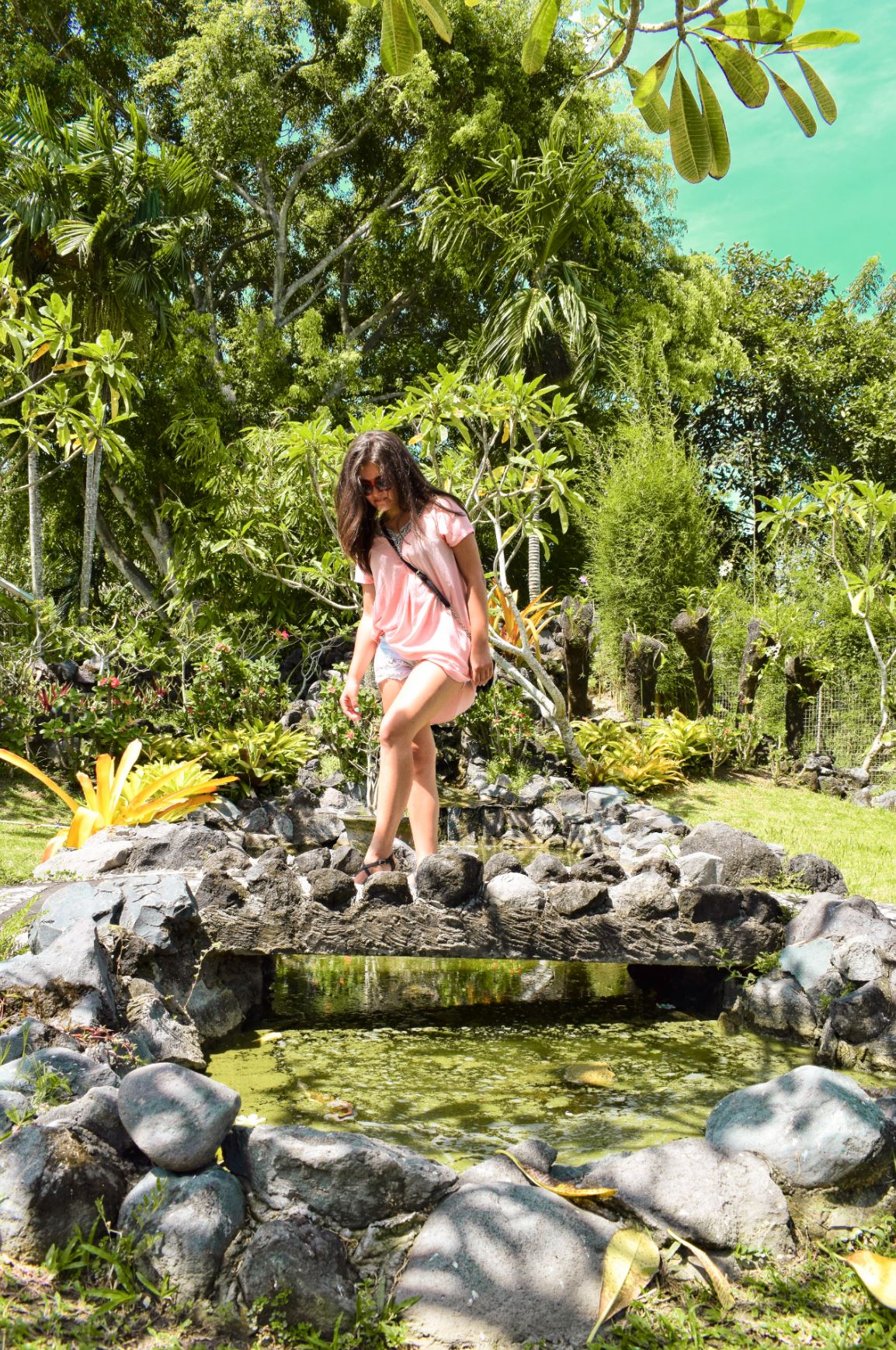 bali orchid garden