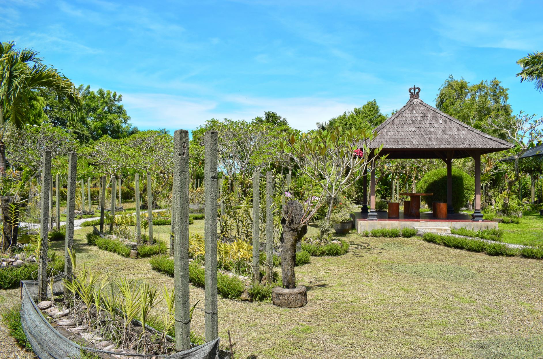 bali orchid garden